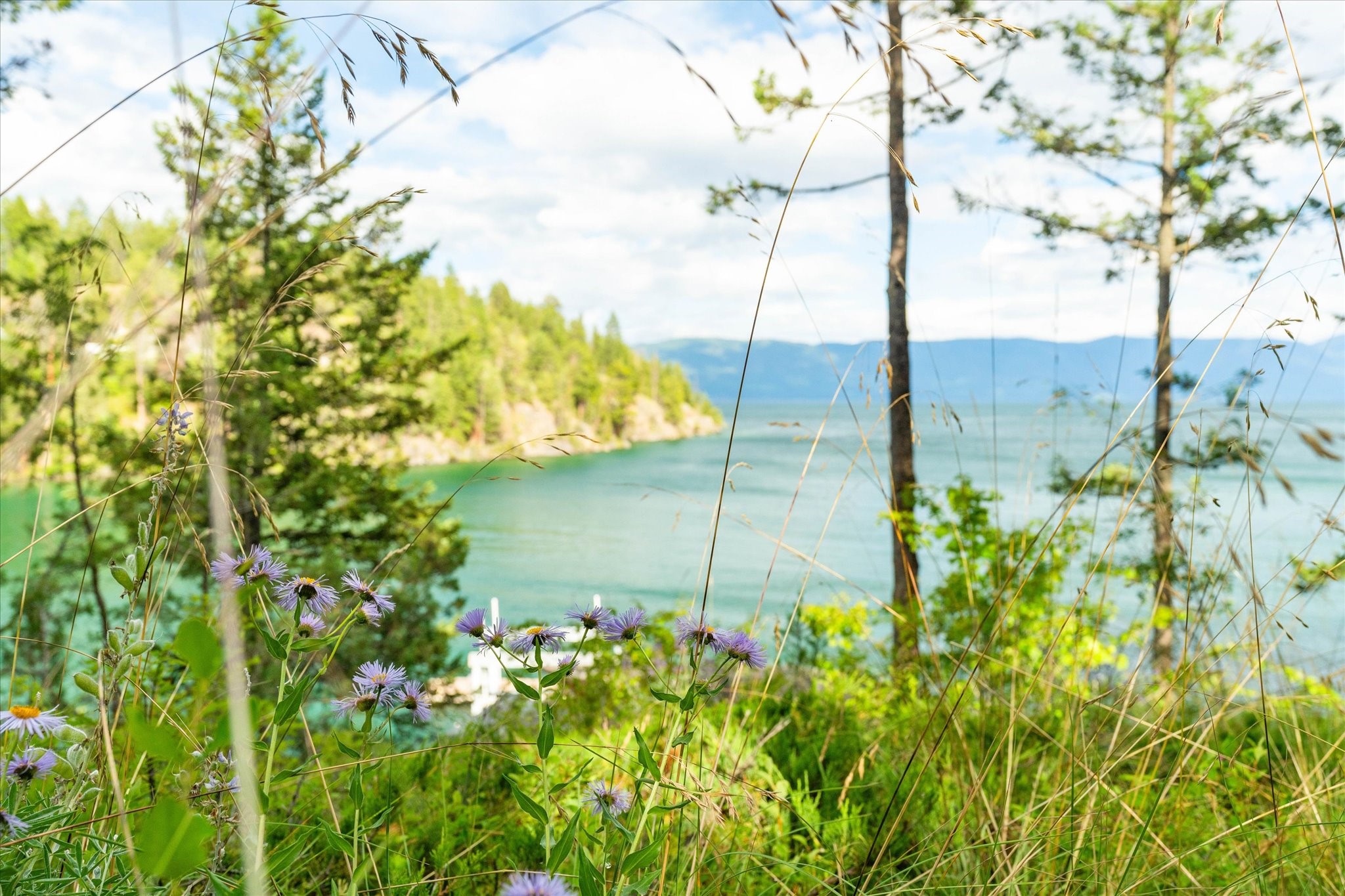 373 Hughes Bay Road