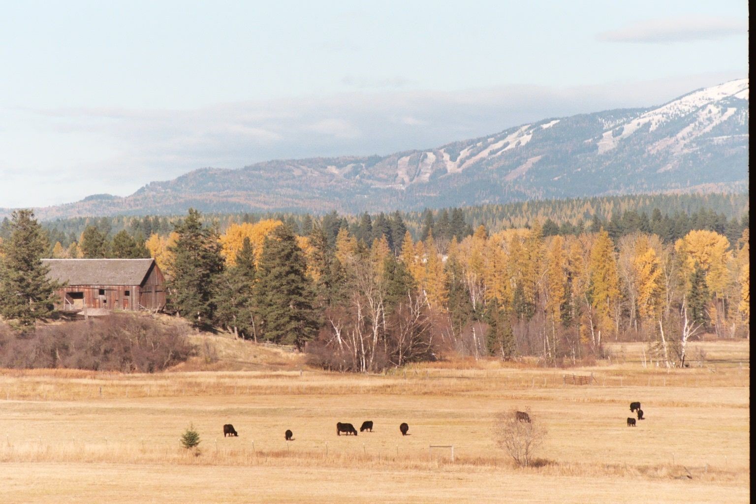 7450 Highway 2 E