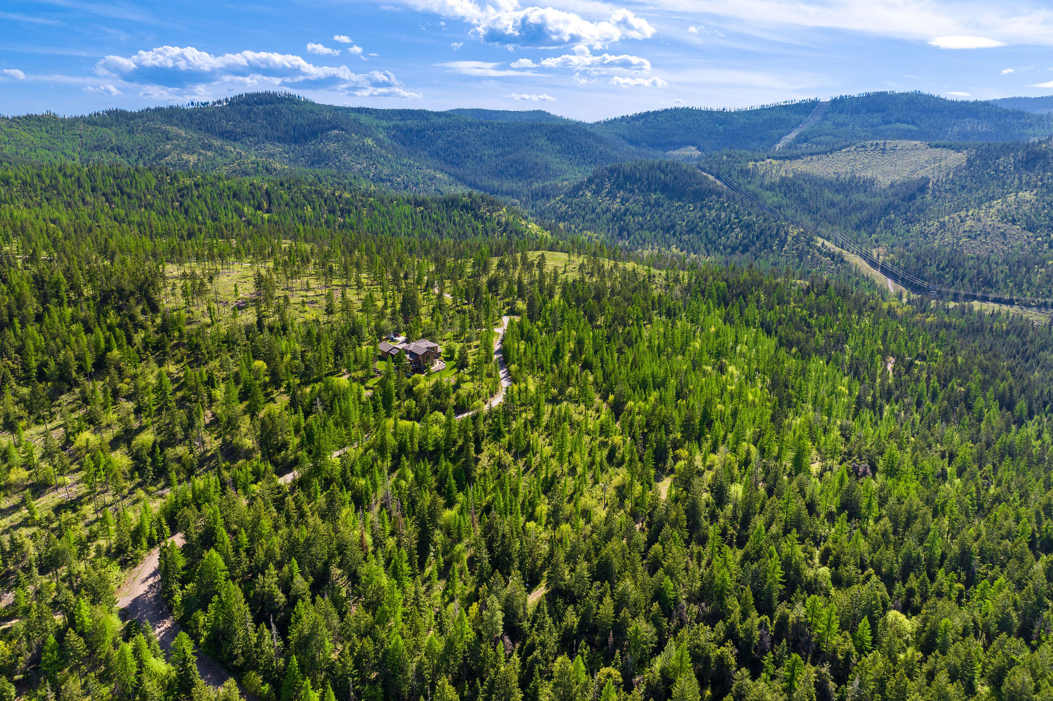 550 Blacktail Heights