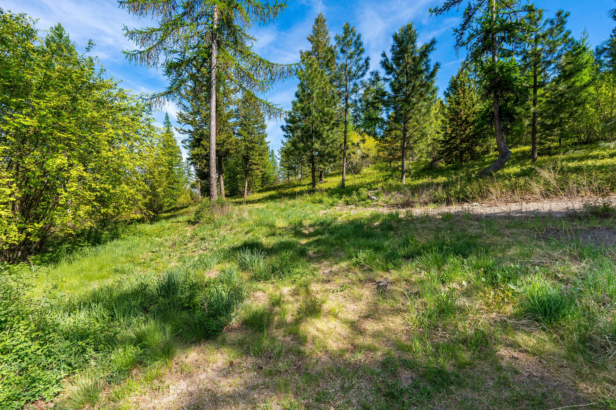 550 Blacktail Heights