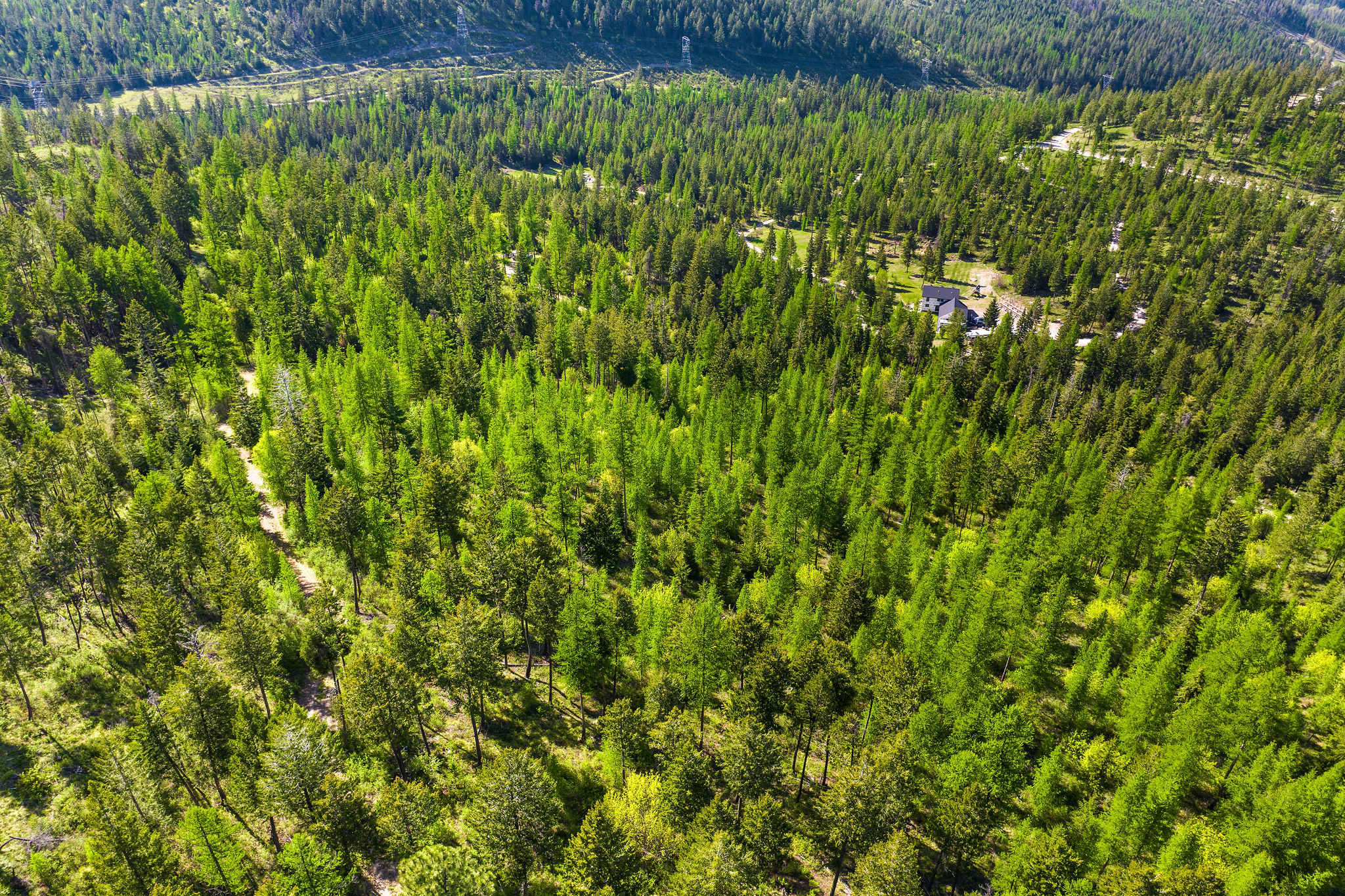 550 Blacktail Heights