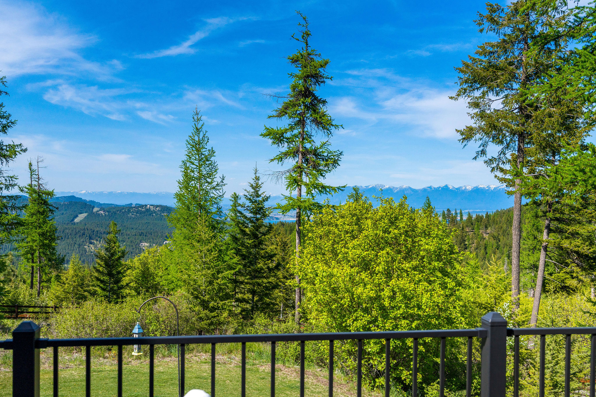 550 Blacktail Heights