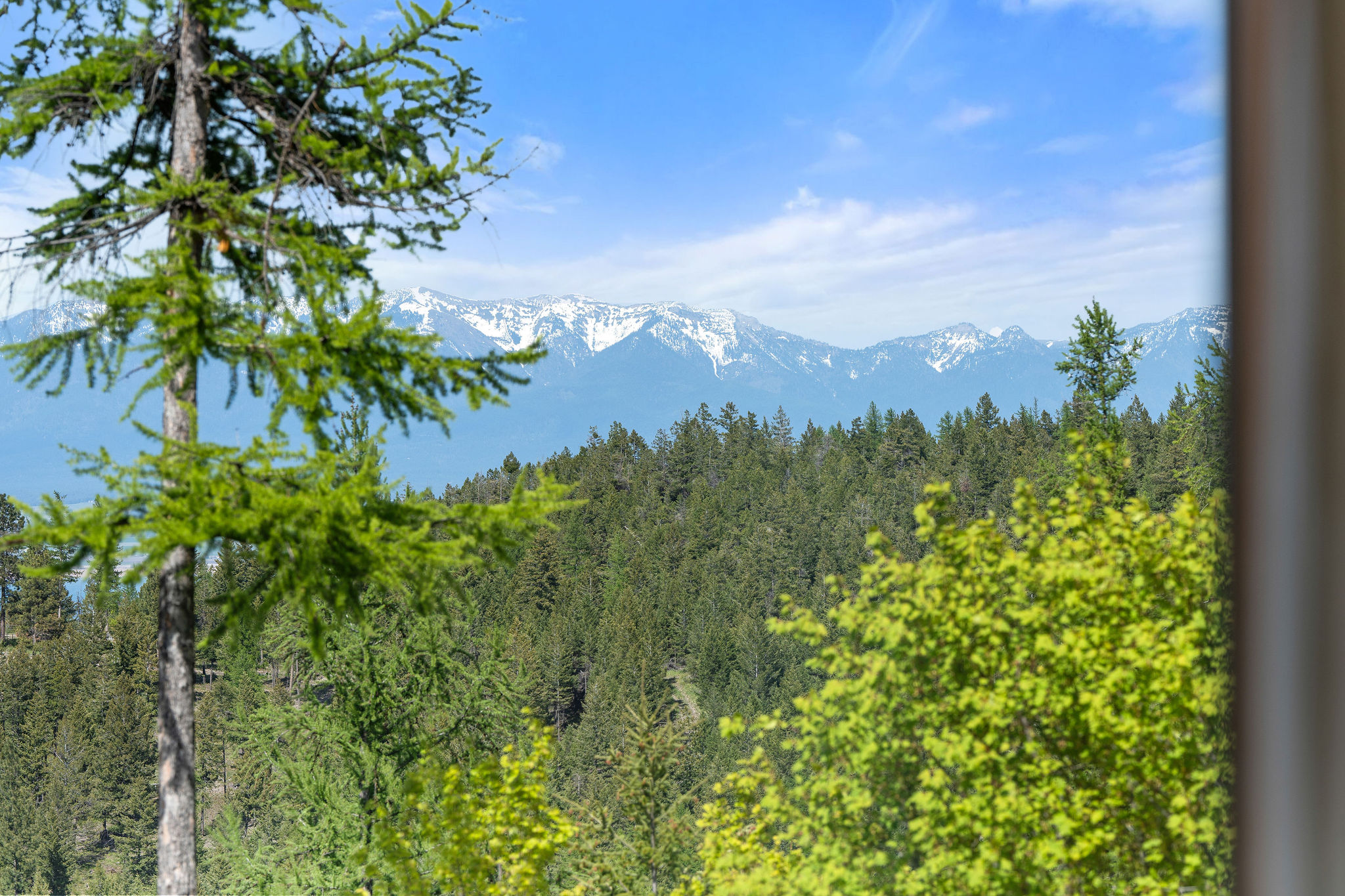 550 Blacktail Heights