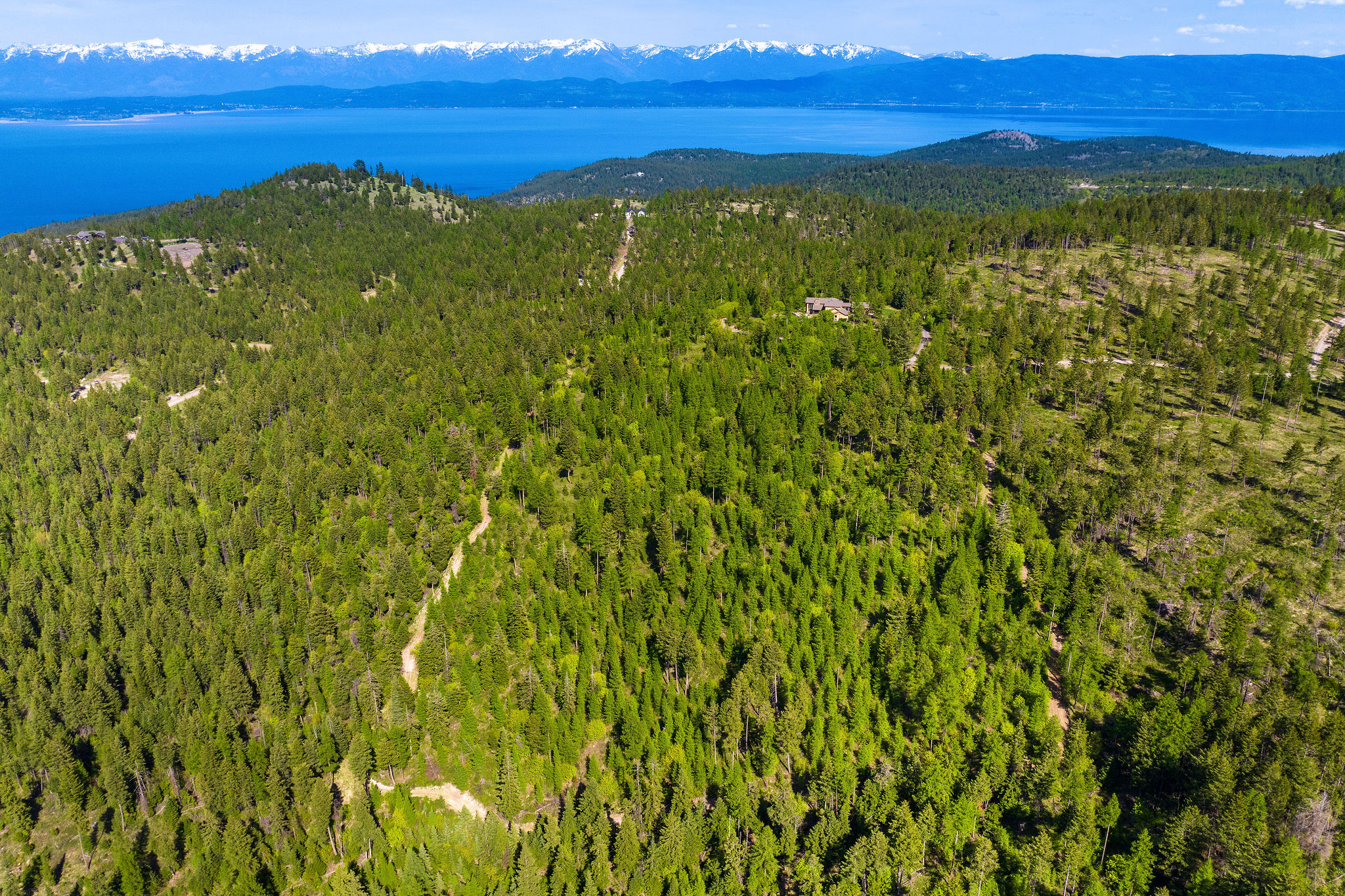 550 Blacktail Heights