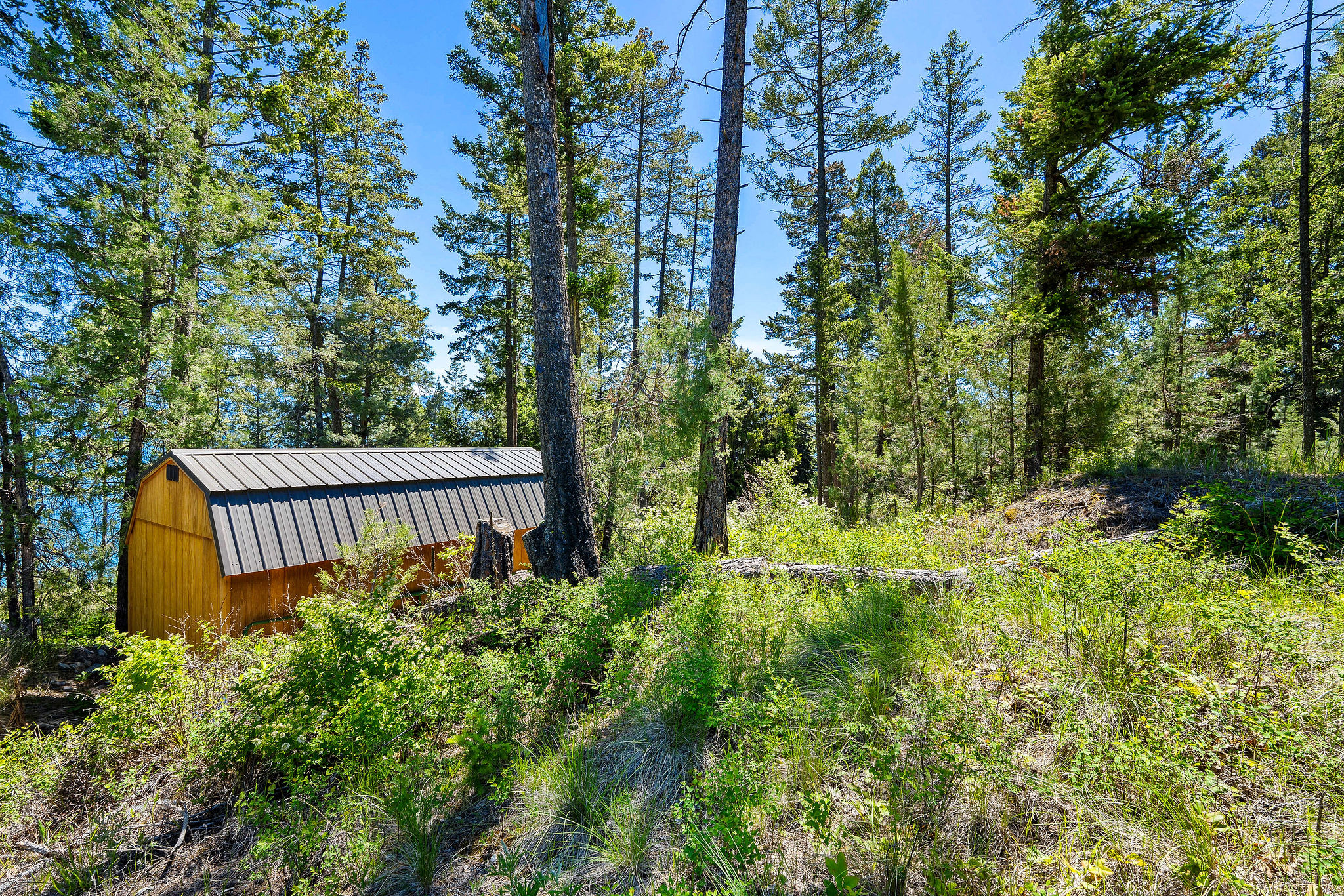 NHN Running Rock Lane