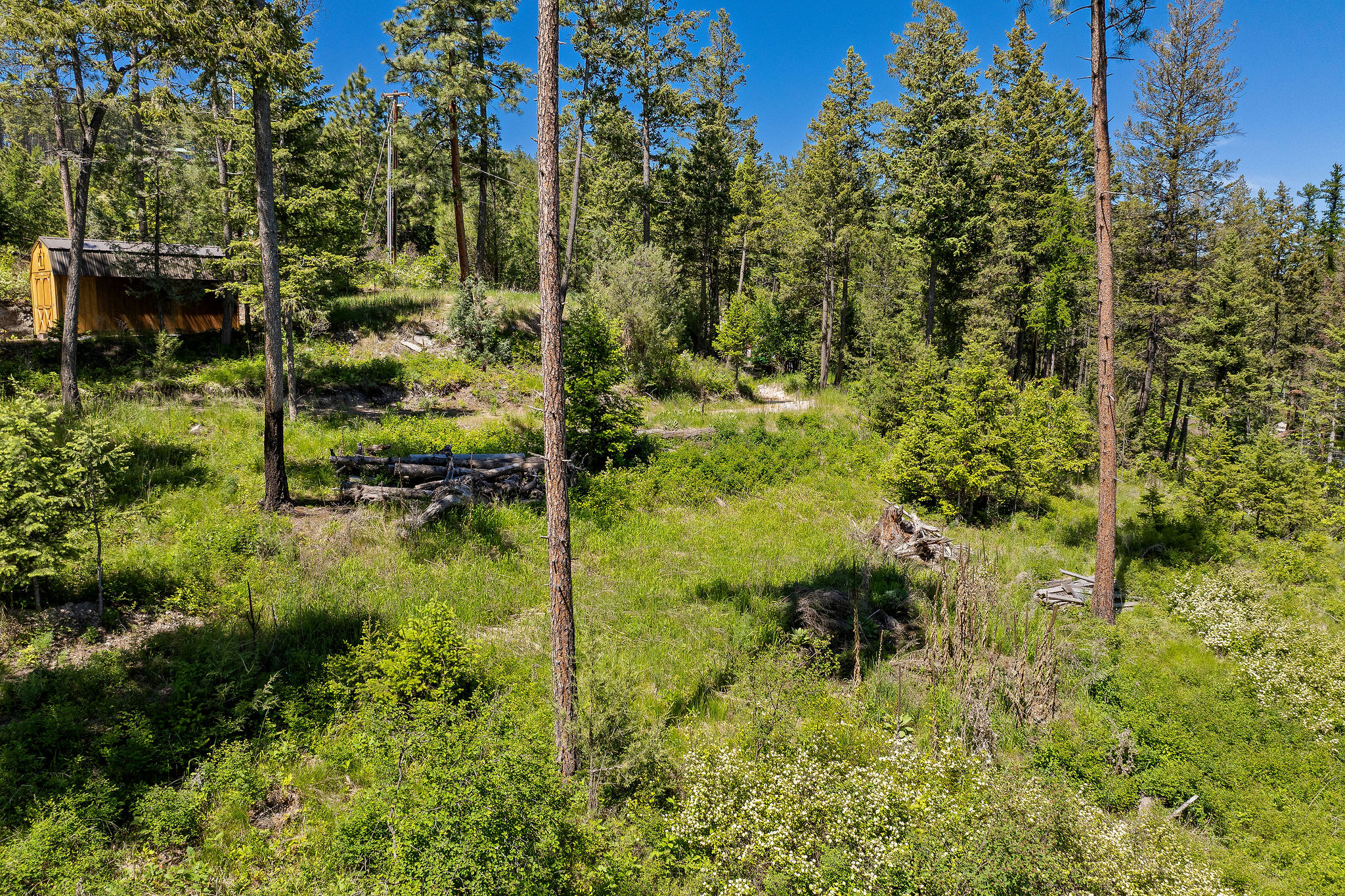 NHN Running Rock Lane