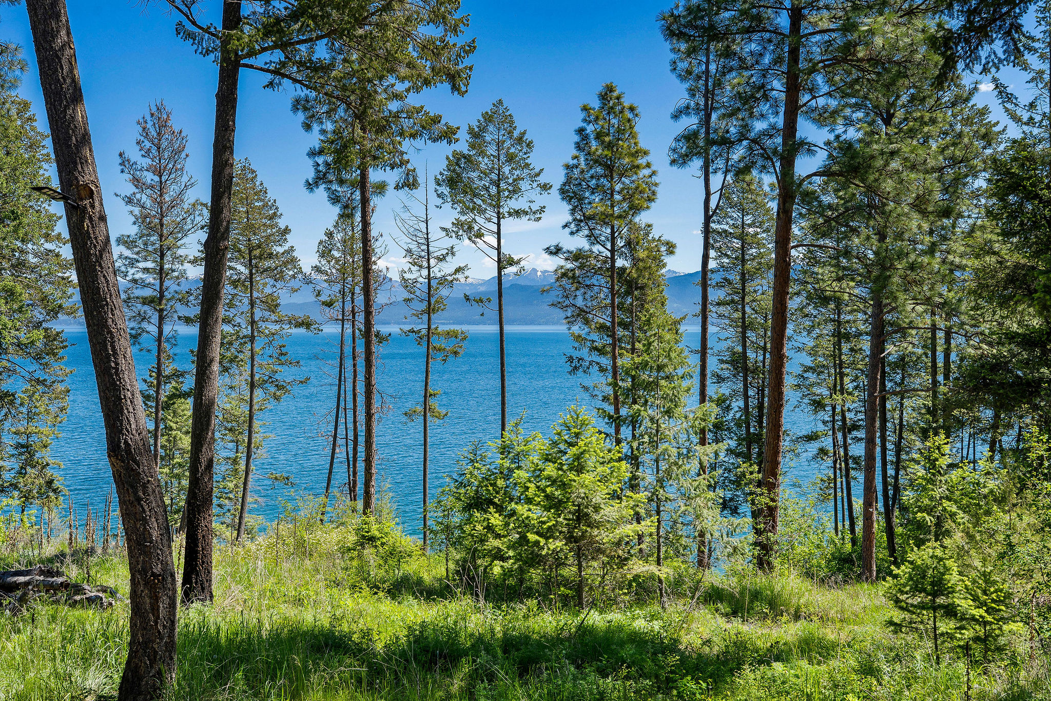 NHN Running Rock Lane