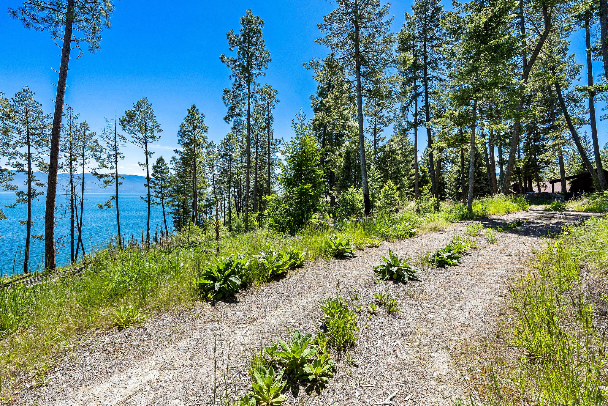 NHN Running Rock Lane