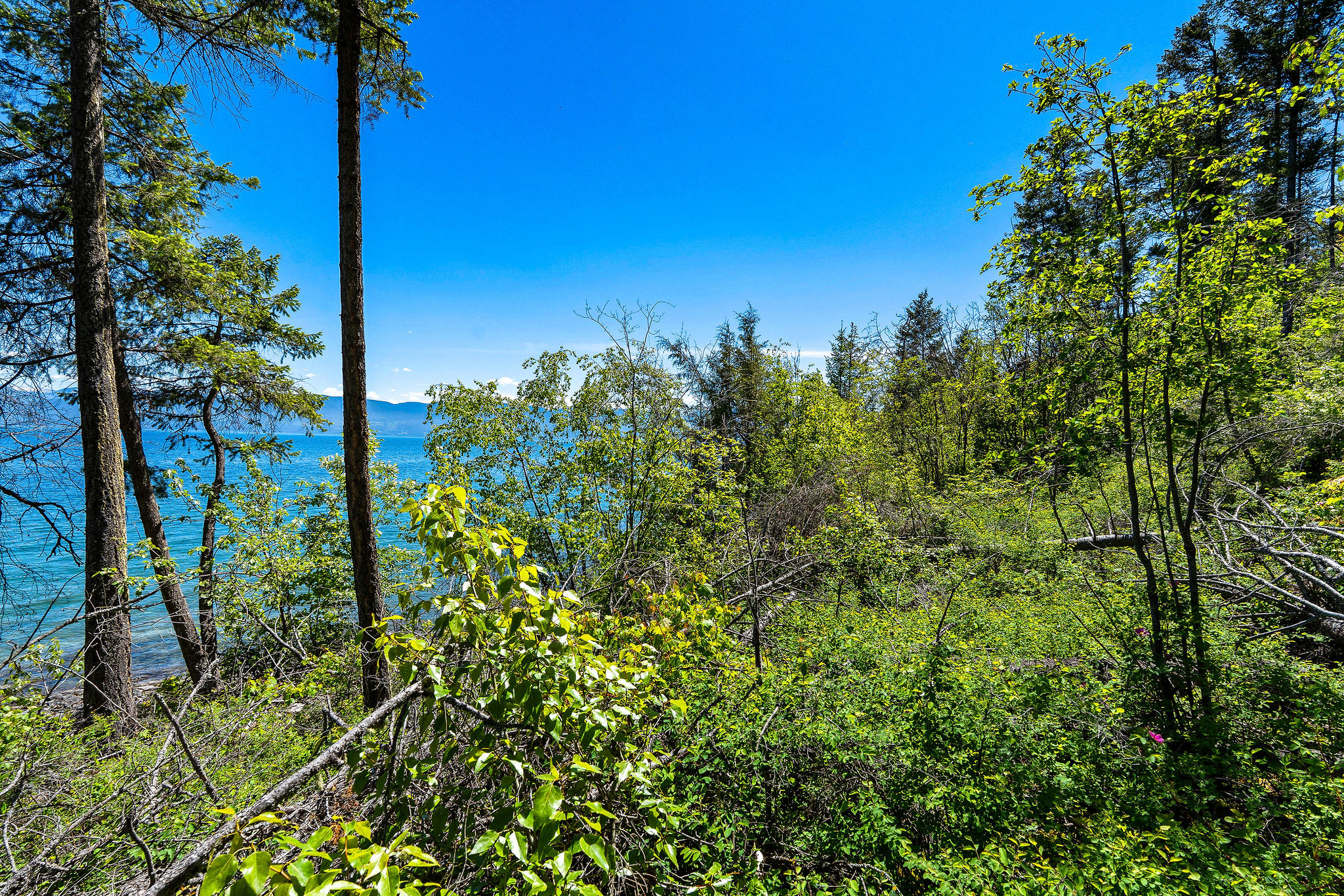 NHN Running Rock Lane