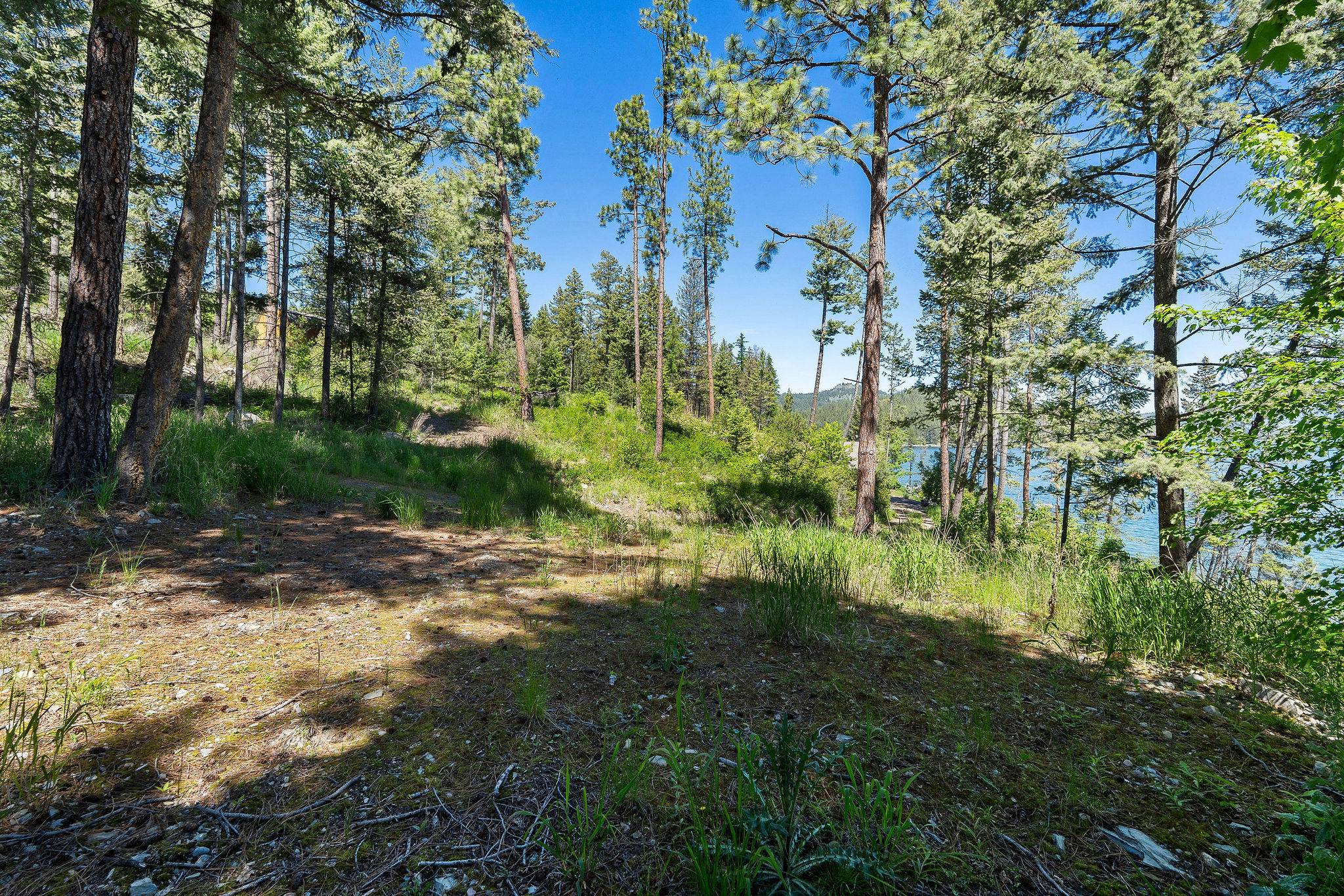 NHN Running Rock Lane