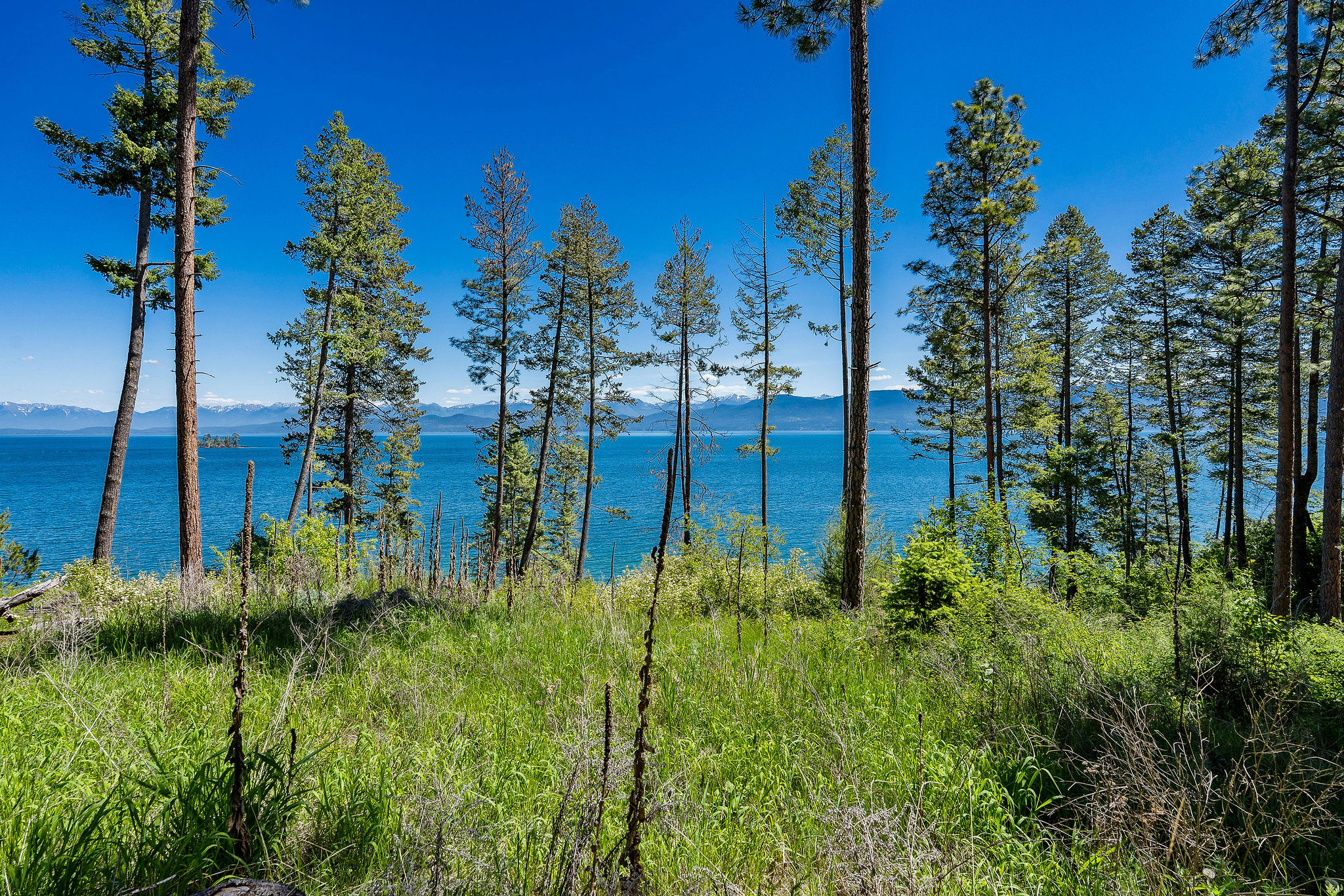 NHN Running Rock Lane