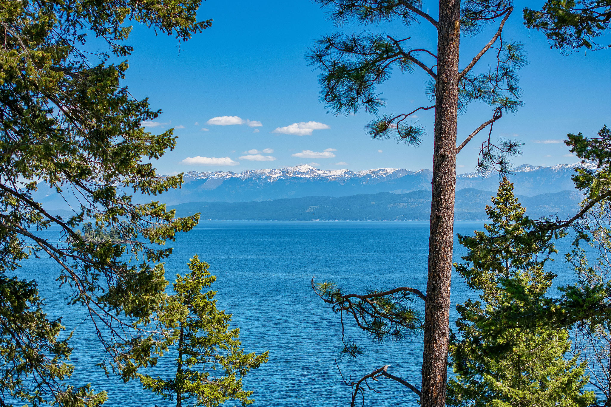 NHN Running Rock Lane