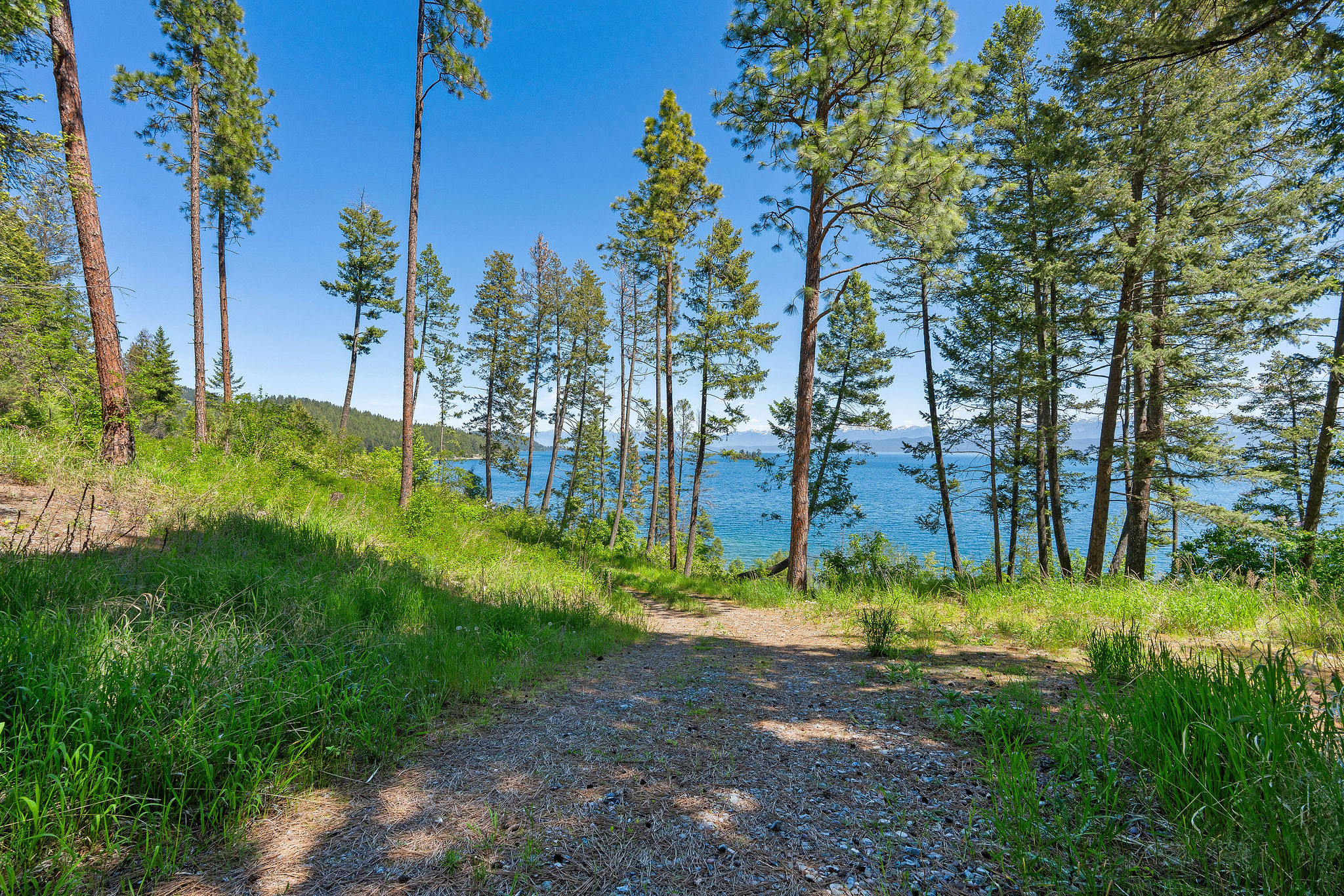 NHN Running Rock Lane