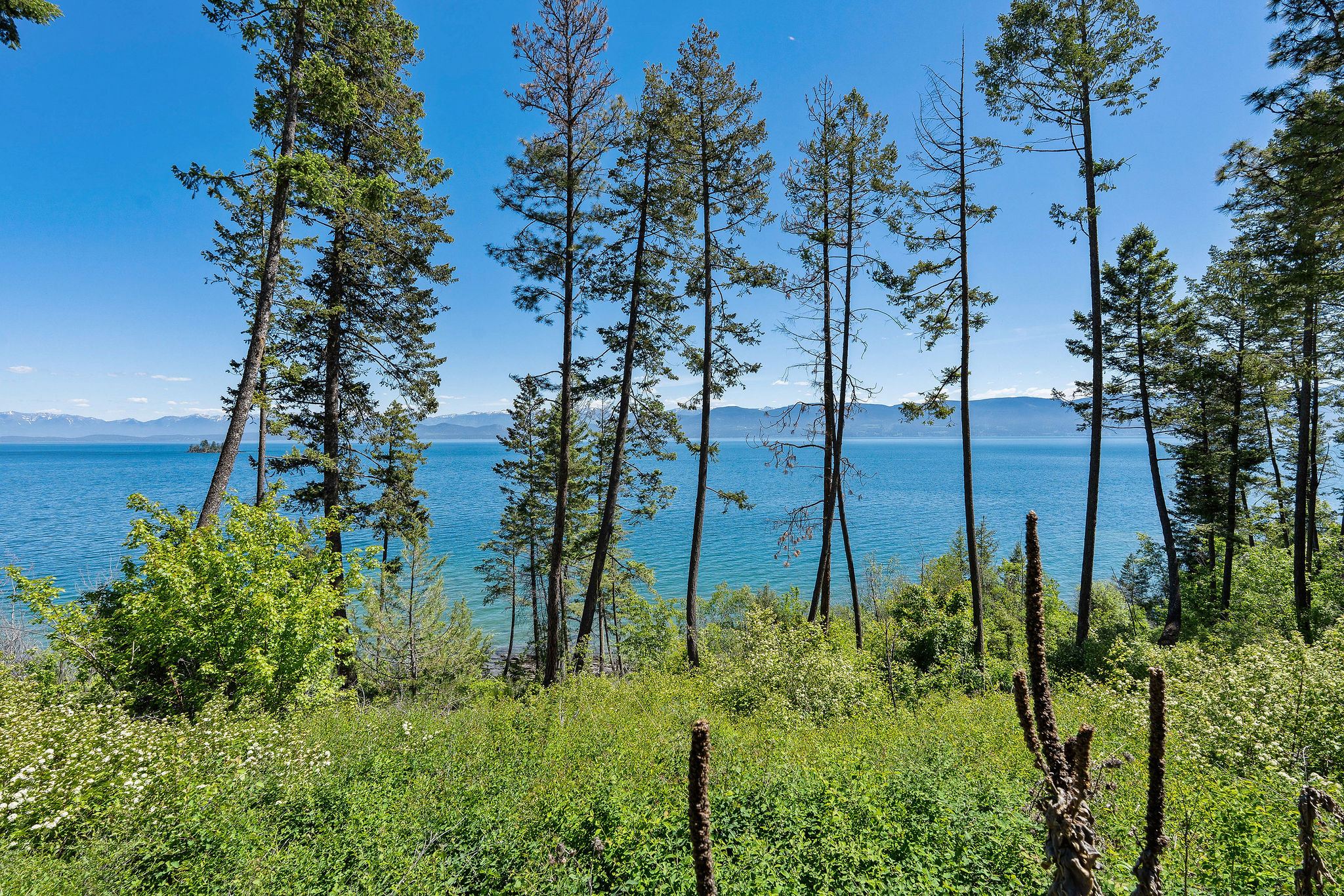 NHN Running Rock Lane