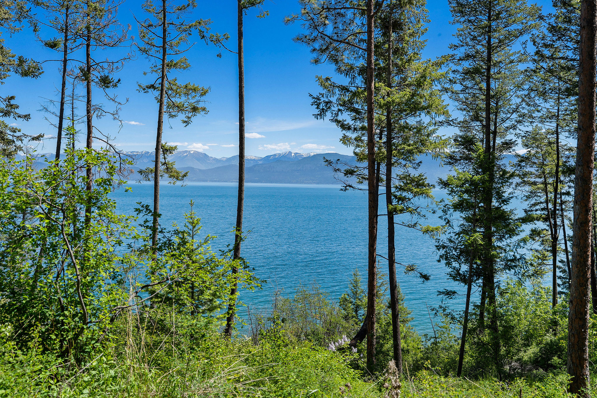 NHN Running Rock Lane