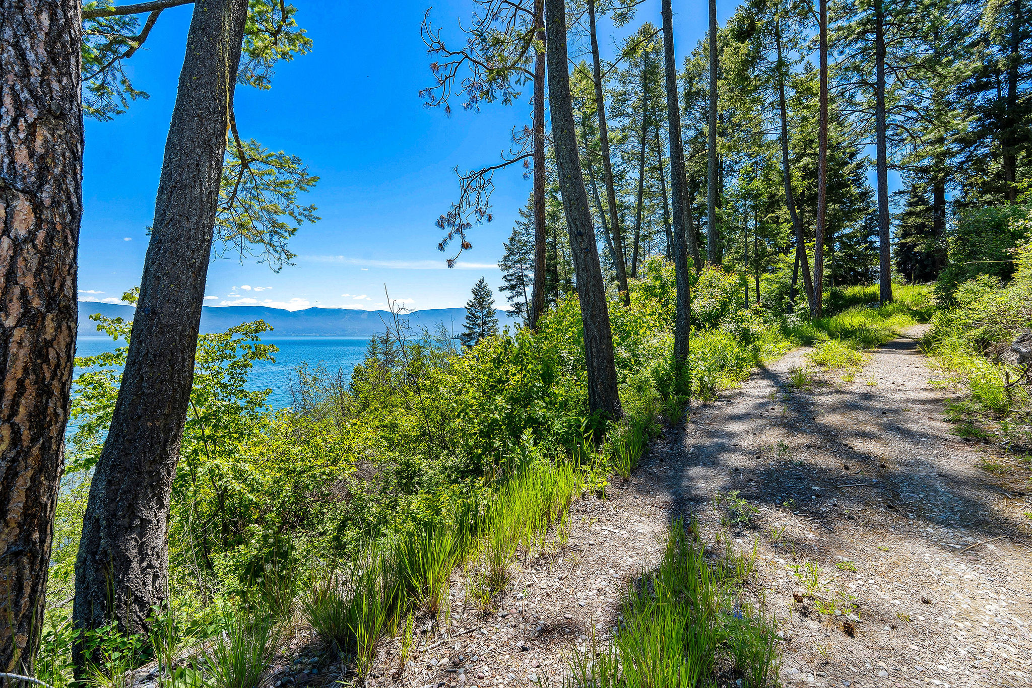 NHN Running Rock Lane