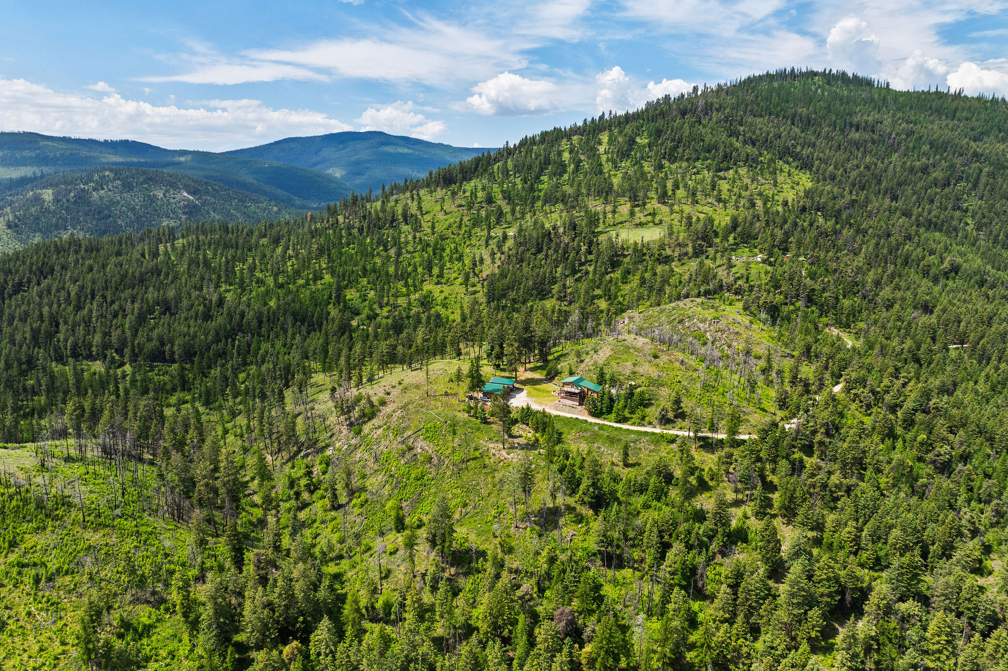 298 Lone Wolf Trail
