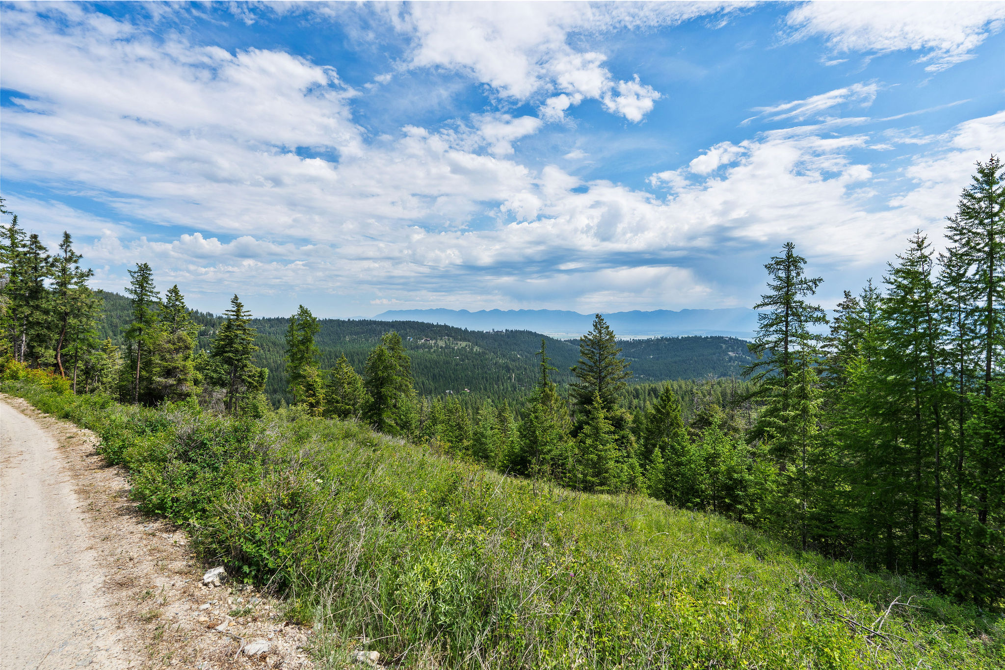 298 Lone Wolf Trail