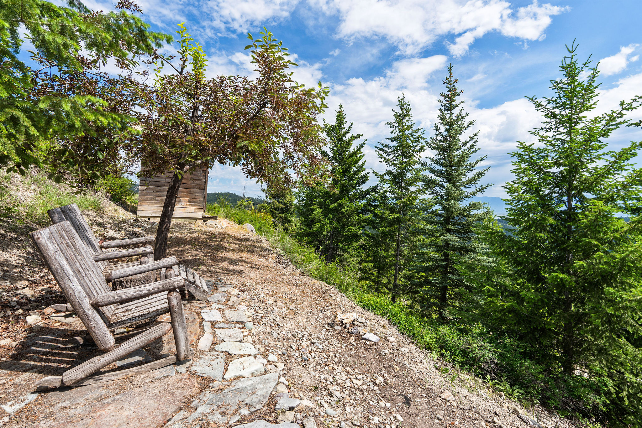 298 Lone Wolf Trail