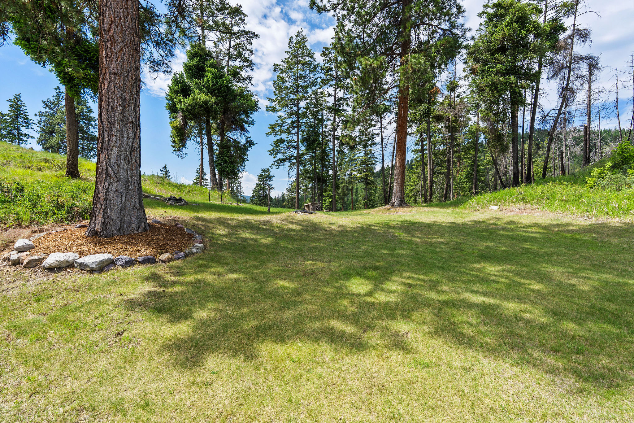 298 Lone Wolf Trail