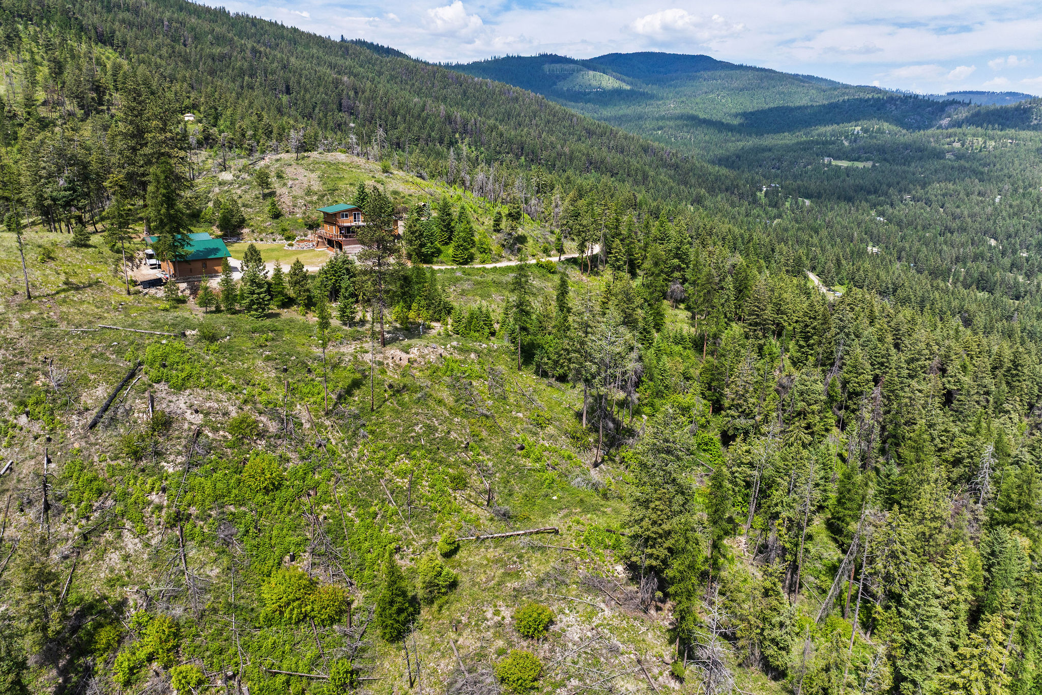 298 Lone Wolf Trail