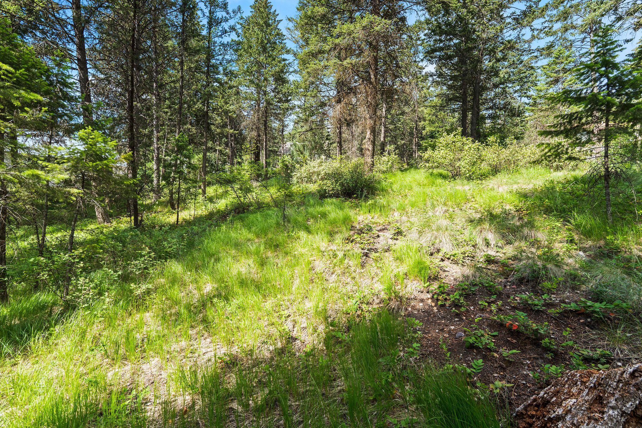 111 Grandview Terrace