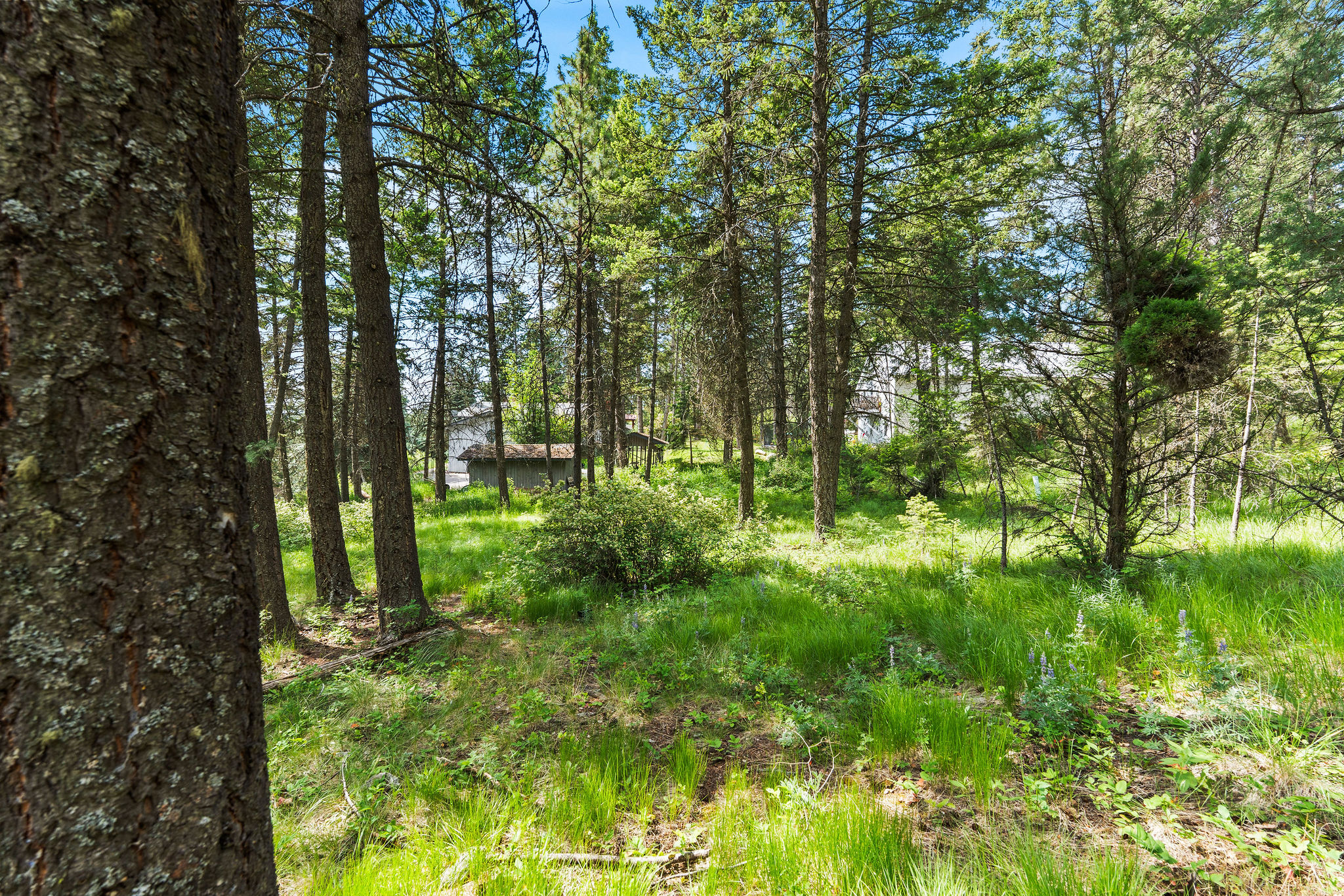 111 Grandview Terrace