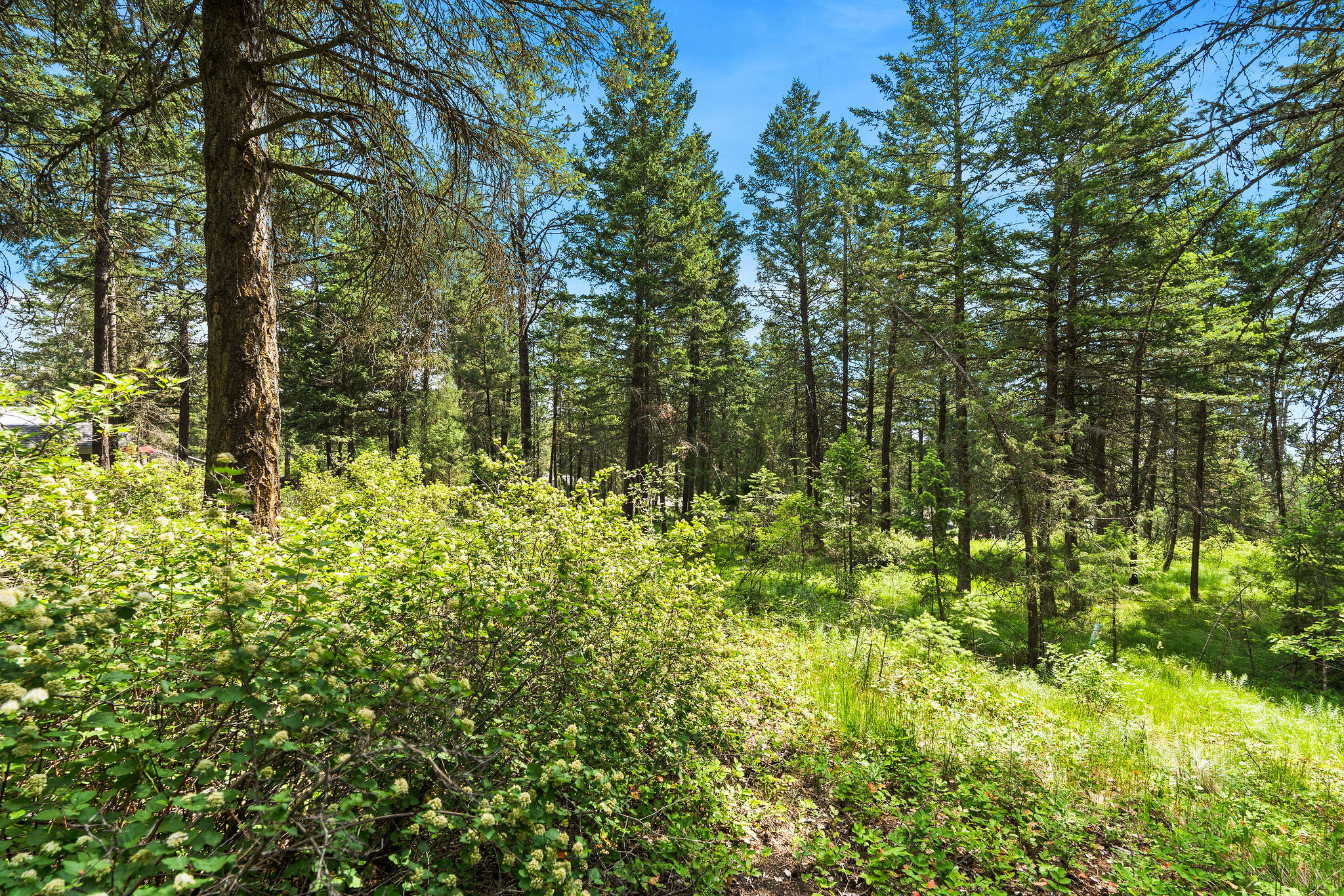 111 Grandview Terrace