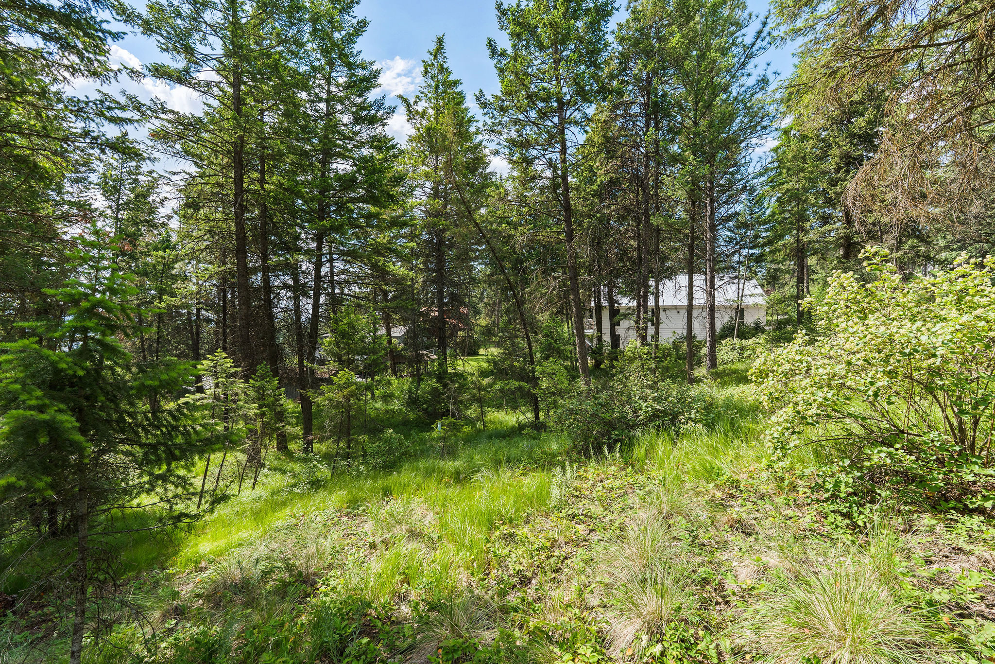 111 Grandview Terrace