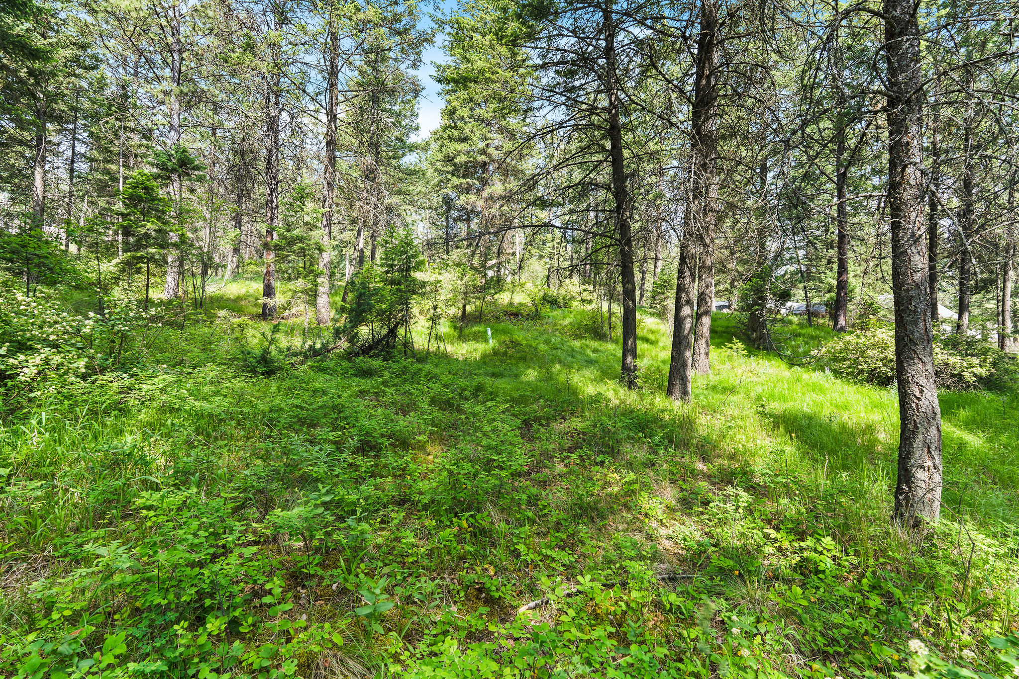 111 Grandview Terrace