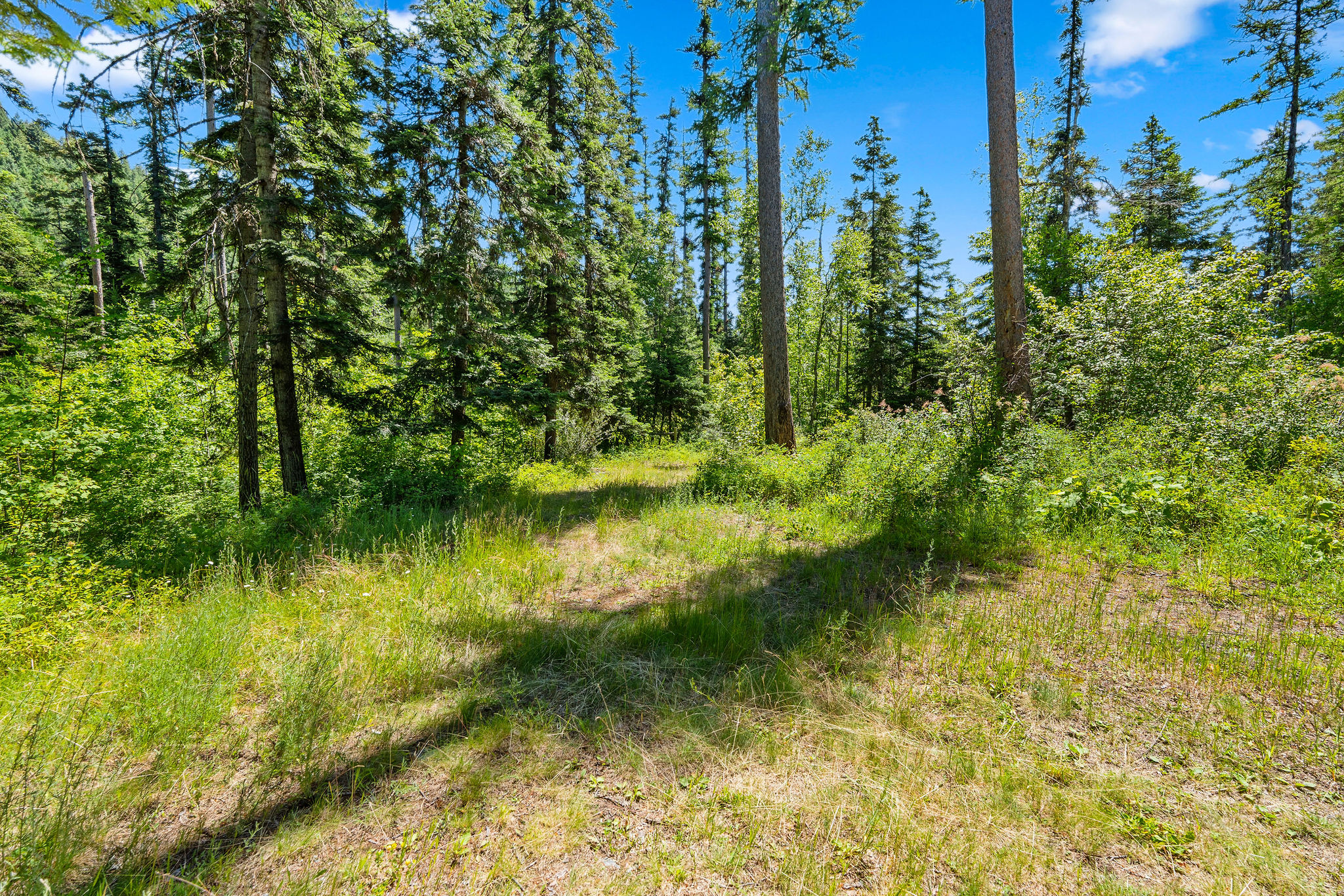 16961 Highway 83