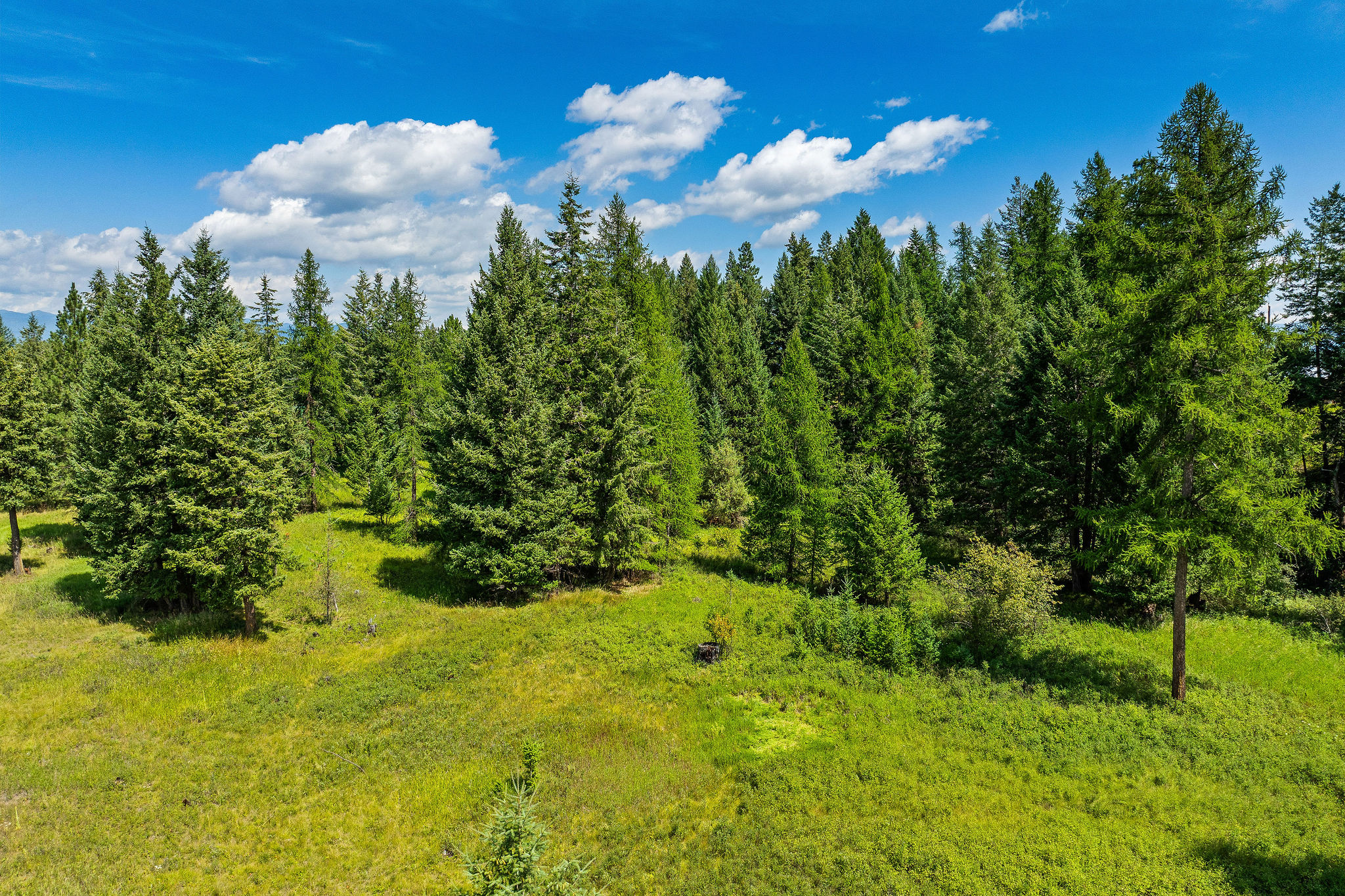 185 Kokanee Bend Drive