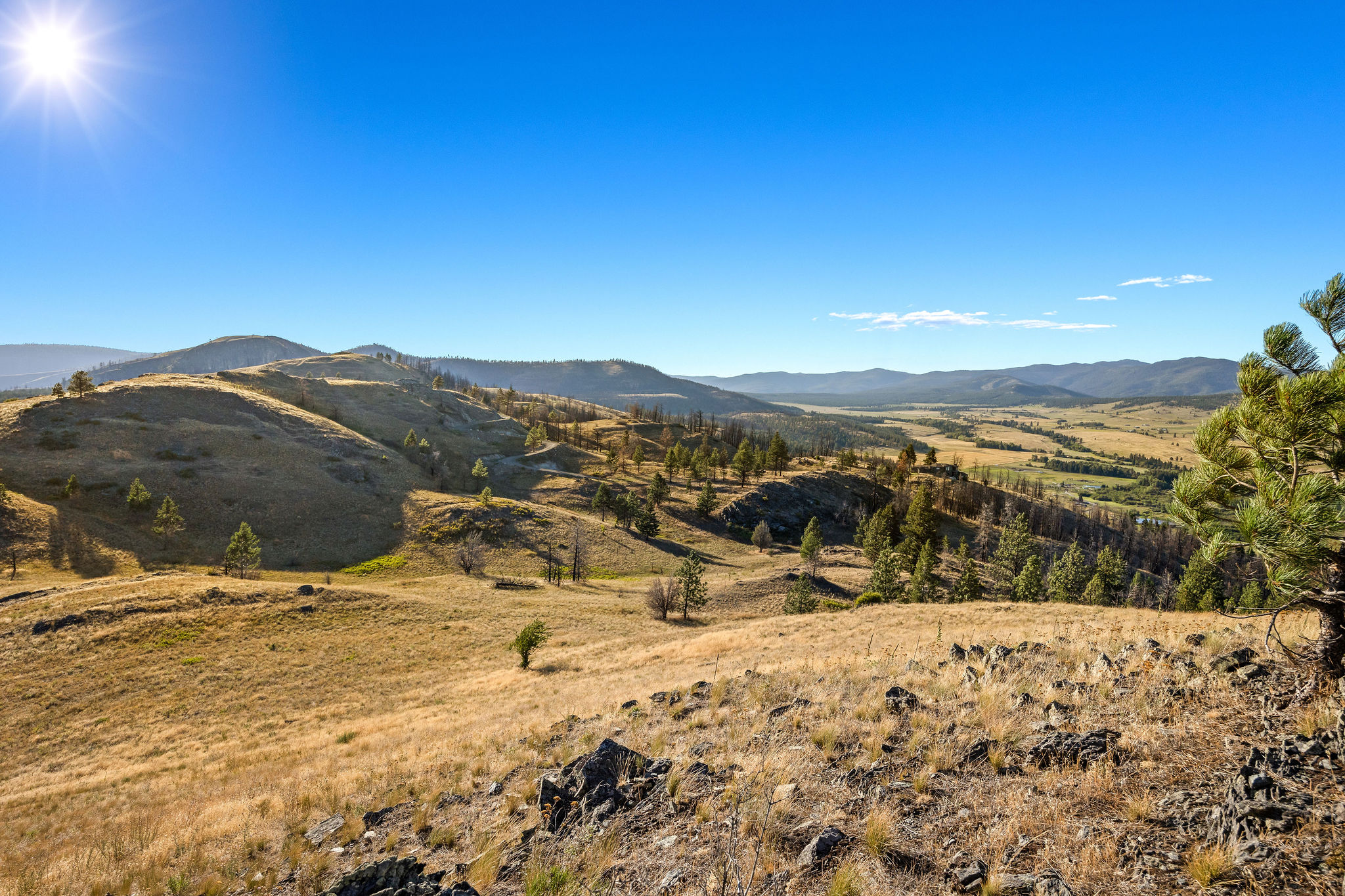 NHN Gunbarrel Lane