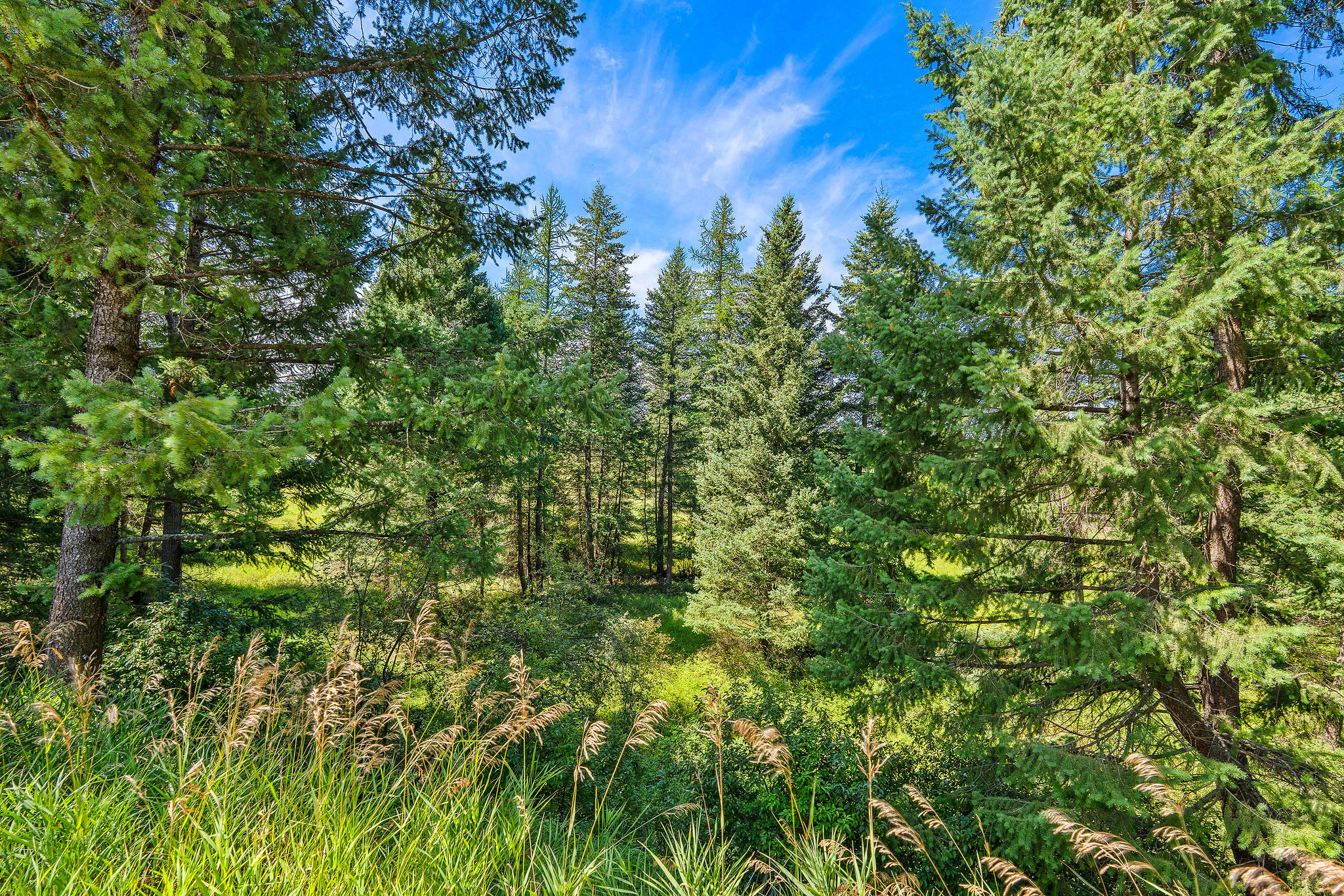 185 Kokanee Bend Drive