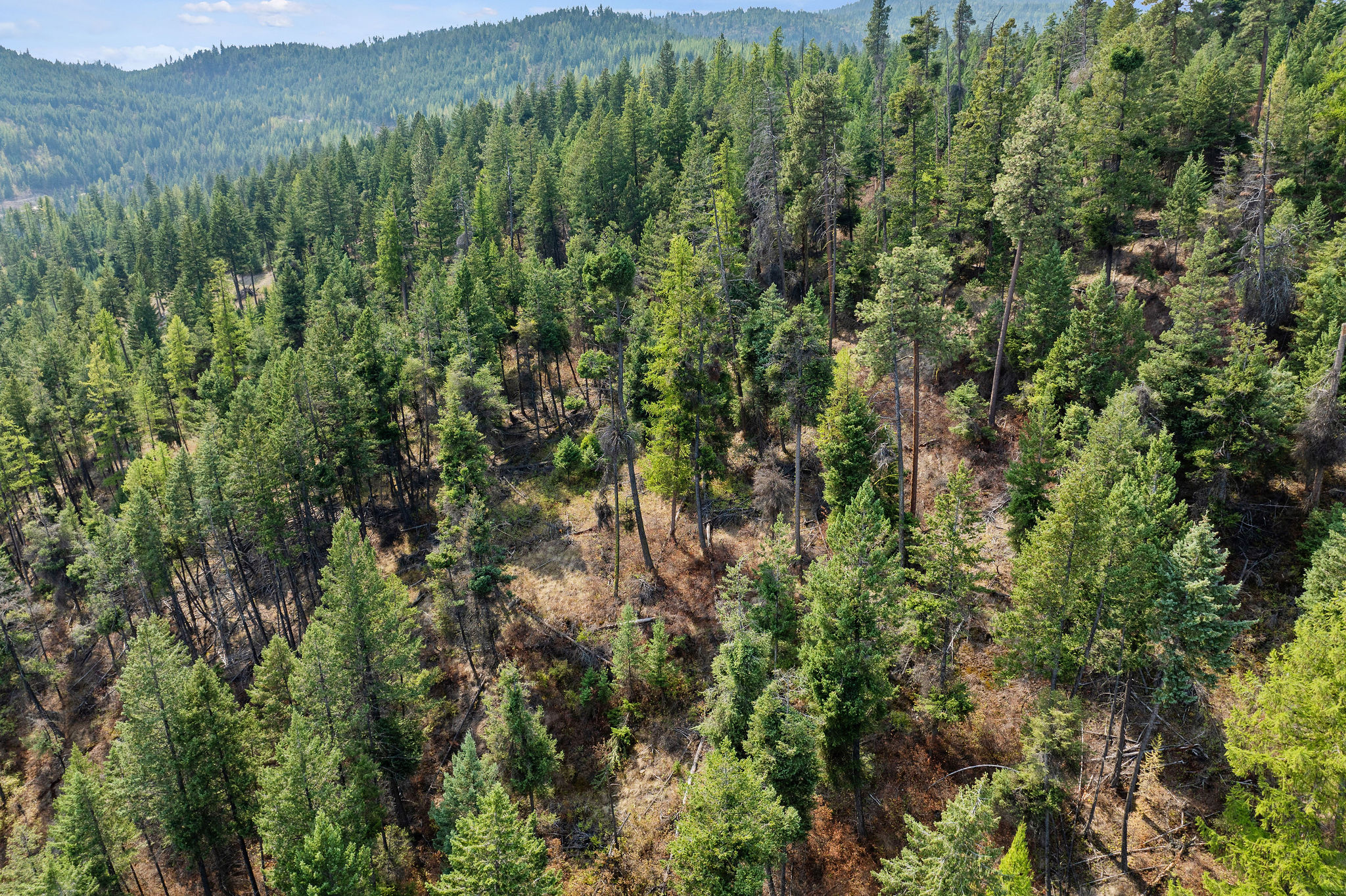98 Big Rock Ridge