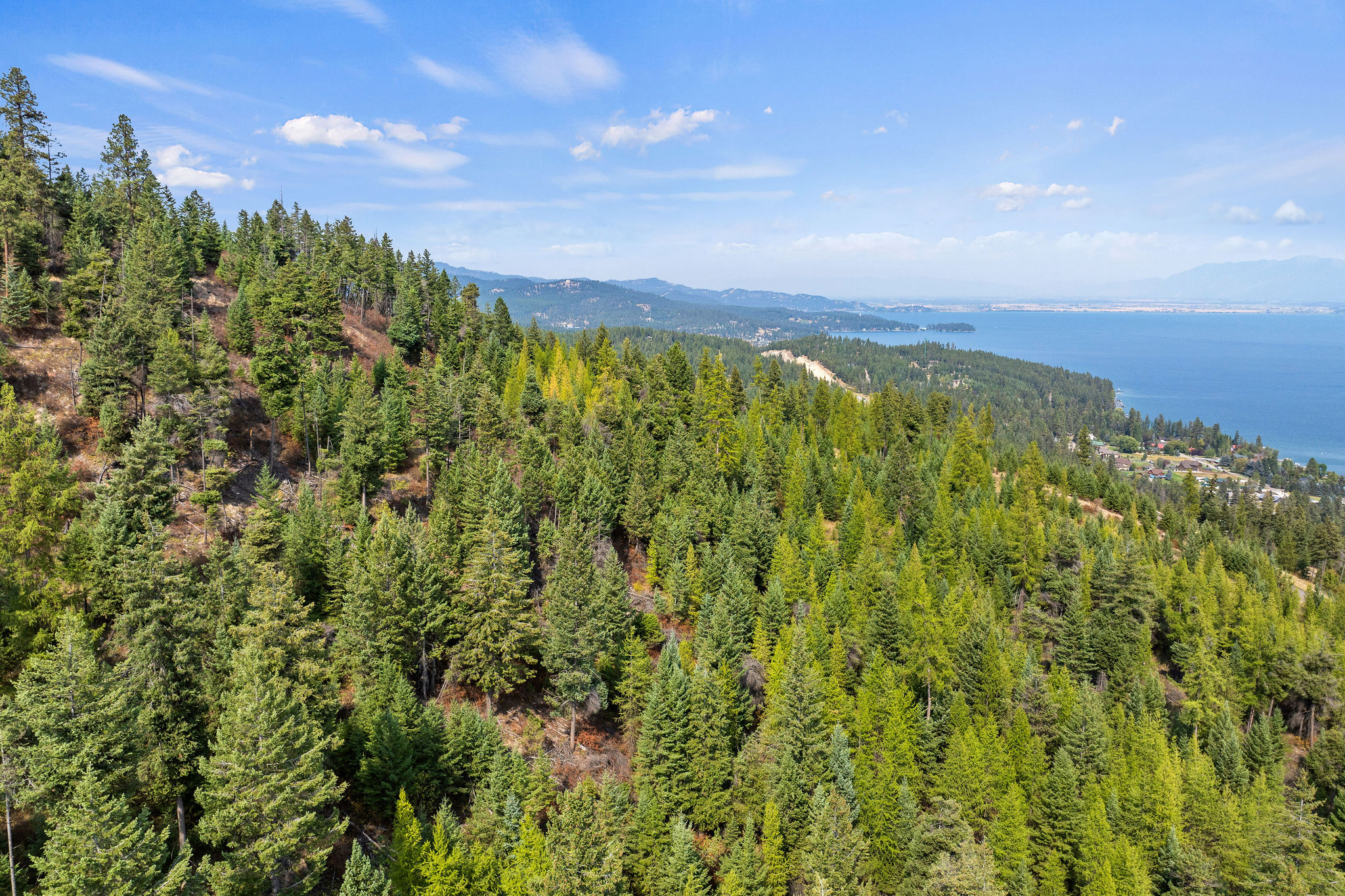 98 Big Rock Ridge