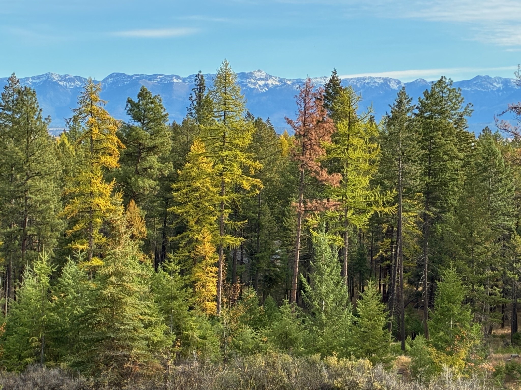 1395 Deer Creek Haven