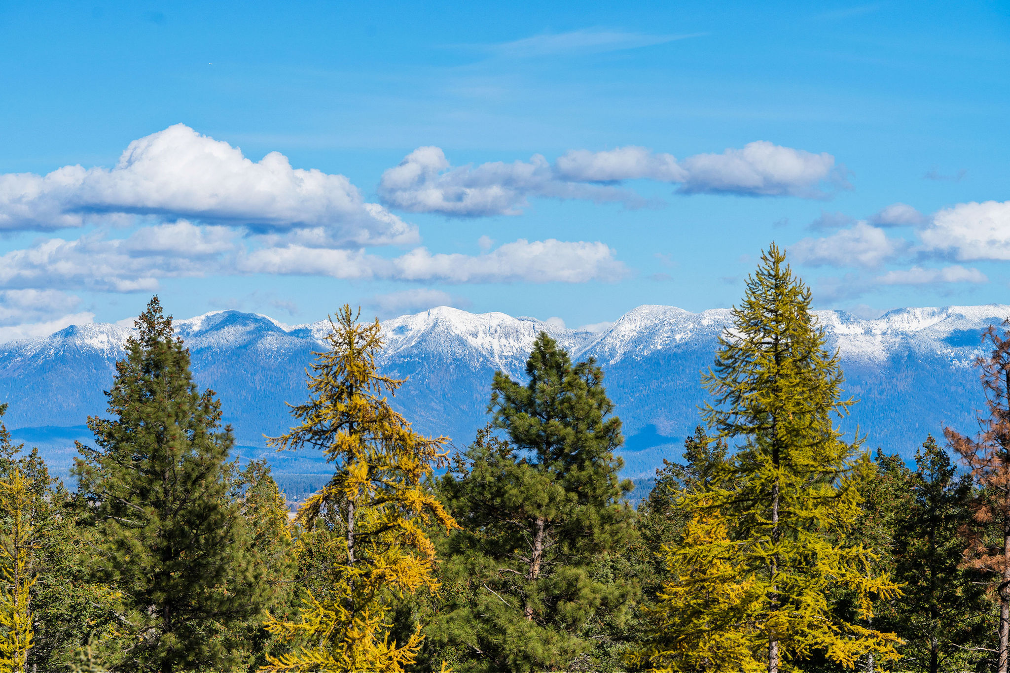 1395 Deer Creek Haven