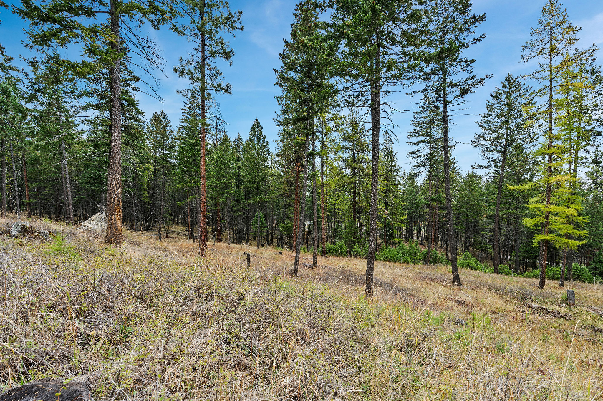 1395 Deer Creek Haven