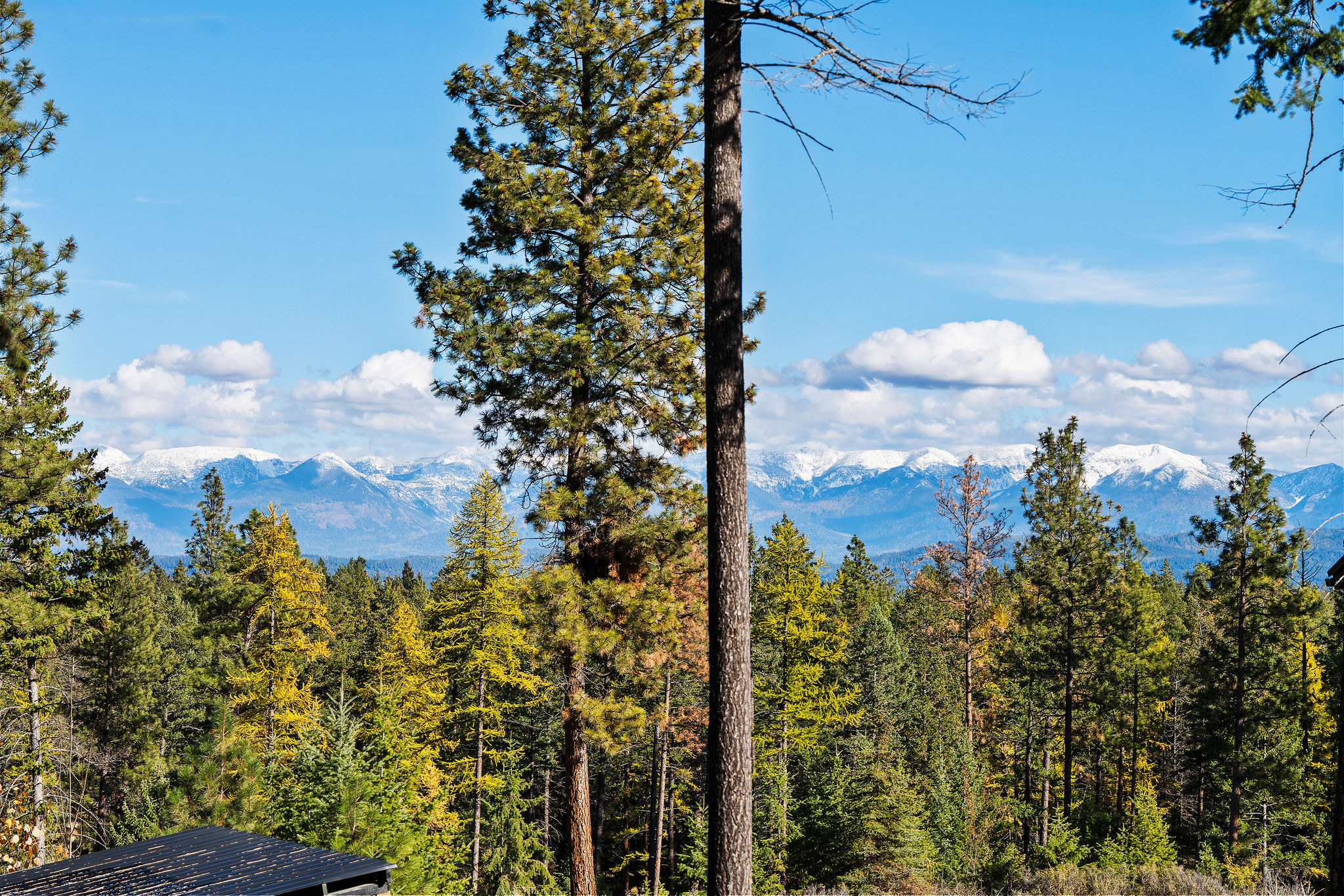 1395 Deer Creek Haven