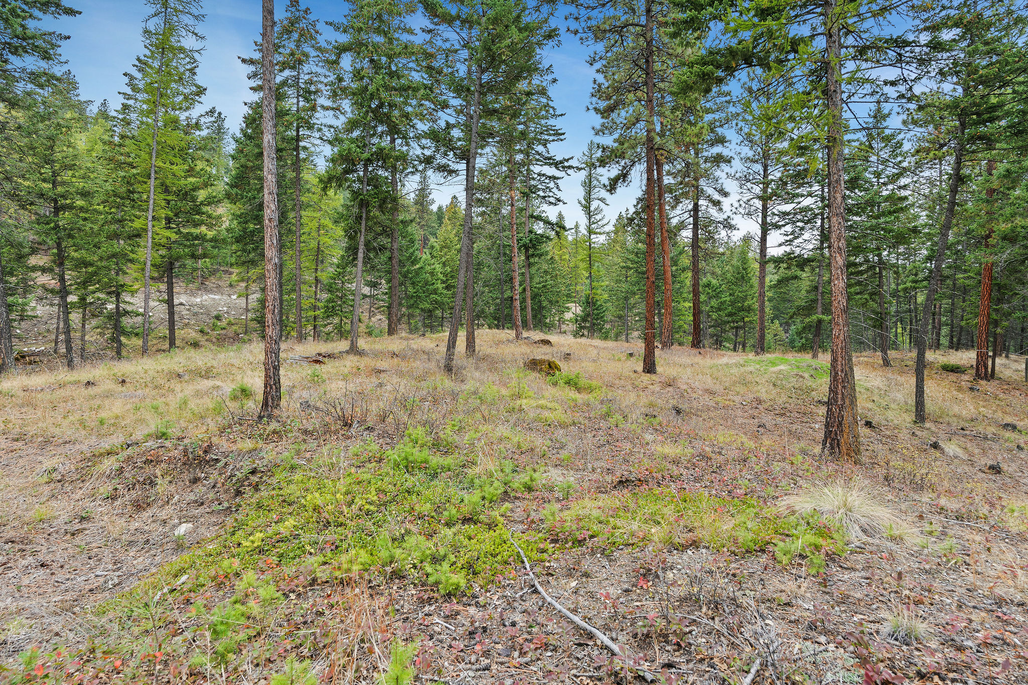 1395 Deer Creek Haven