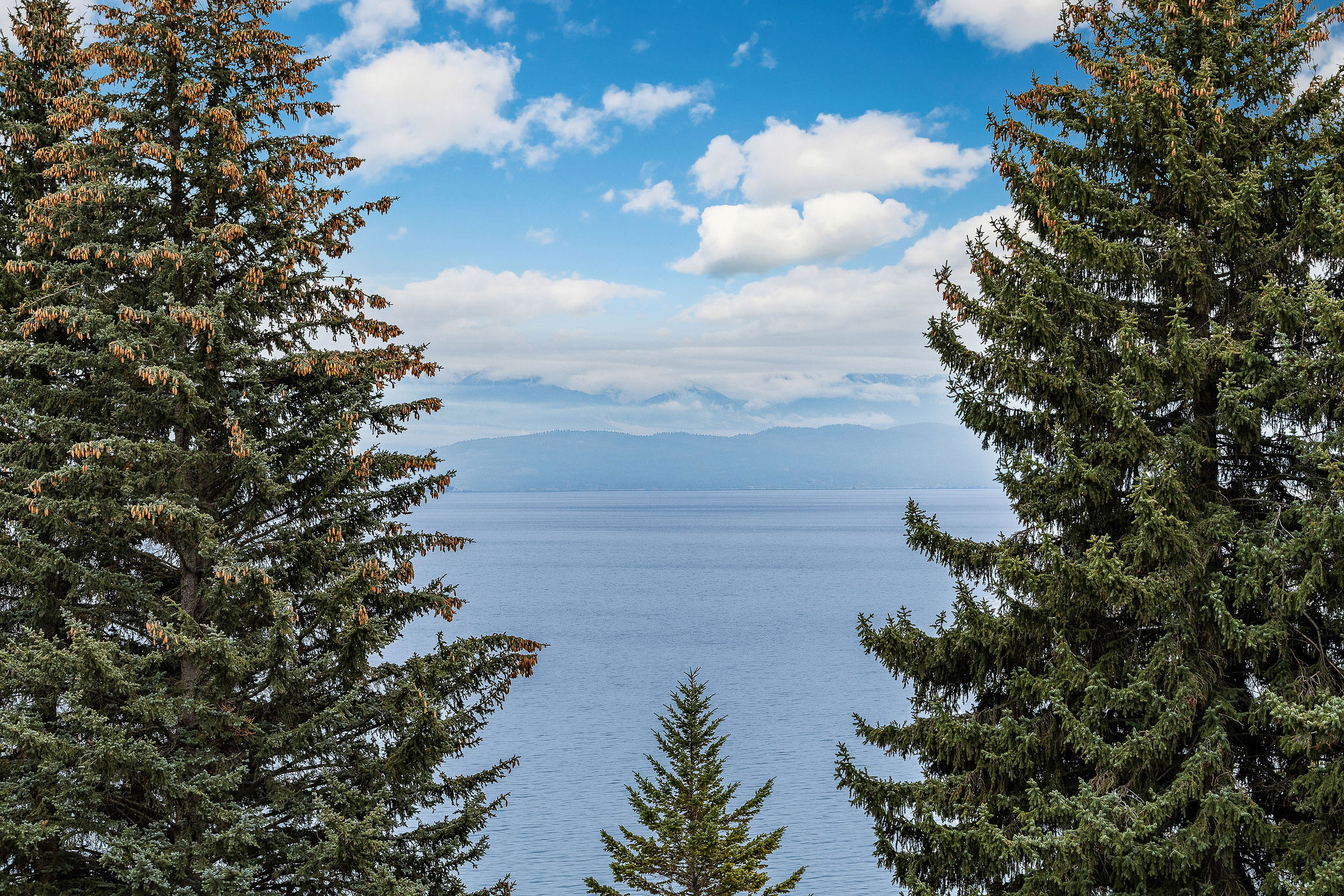 685 N Juniper Bay Road