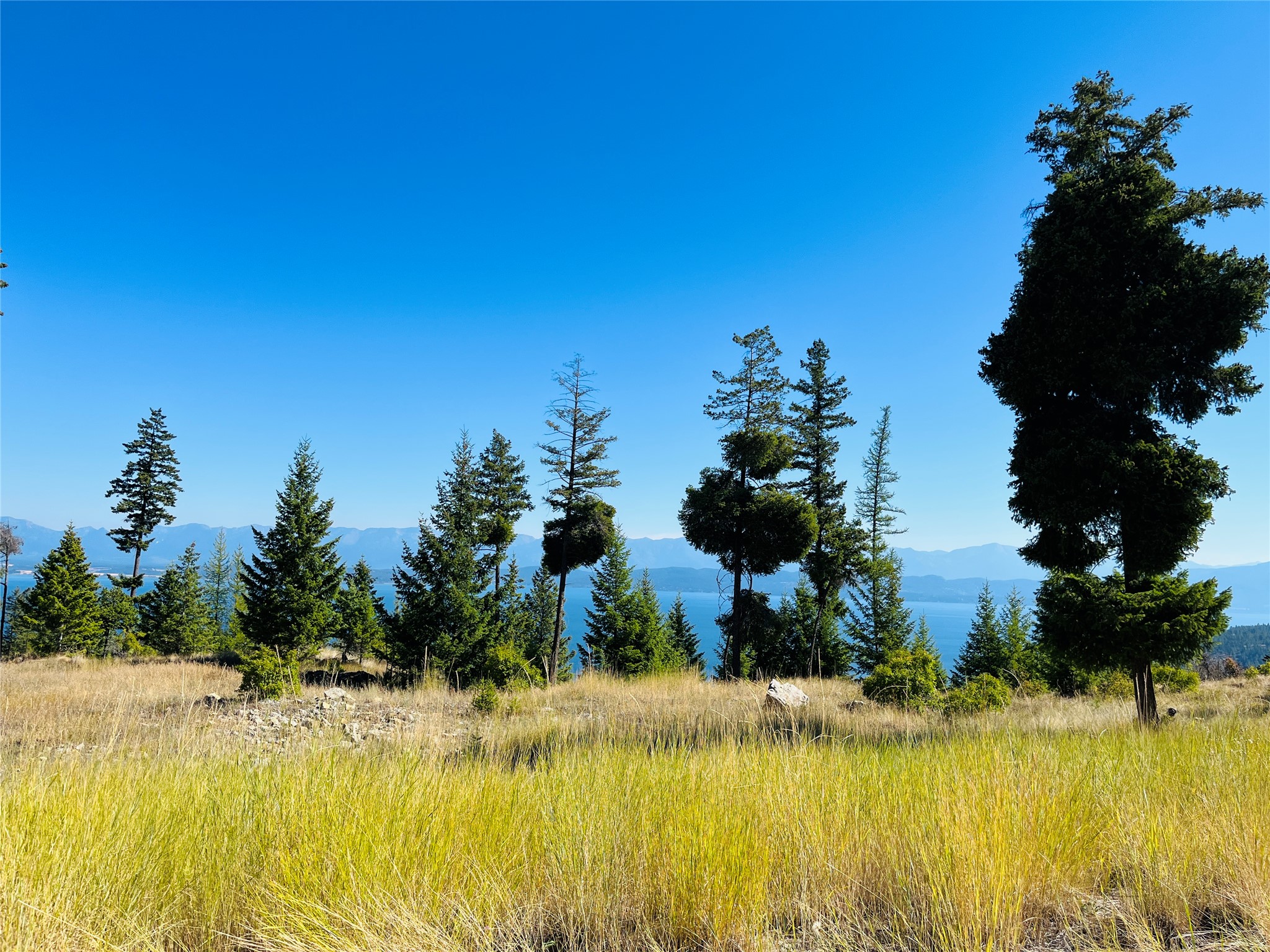 209 Ridge Line Drive aka 9 Osprey Trail