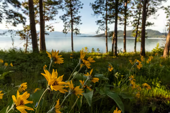 22700 Northaire Lane