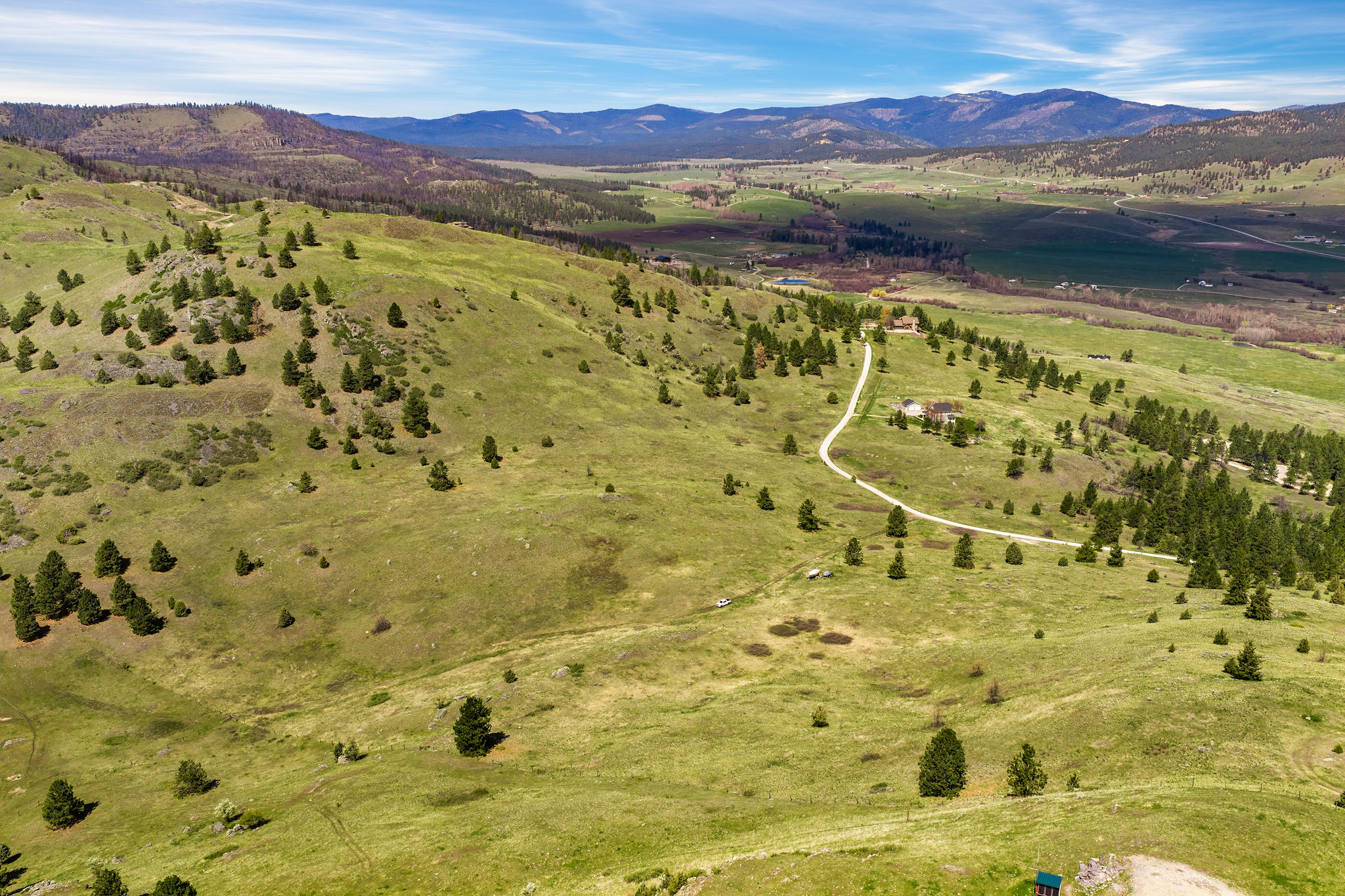 NHN Chief Cliff Lane