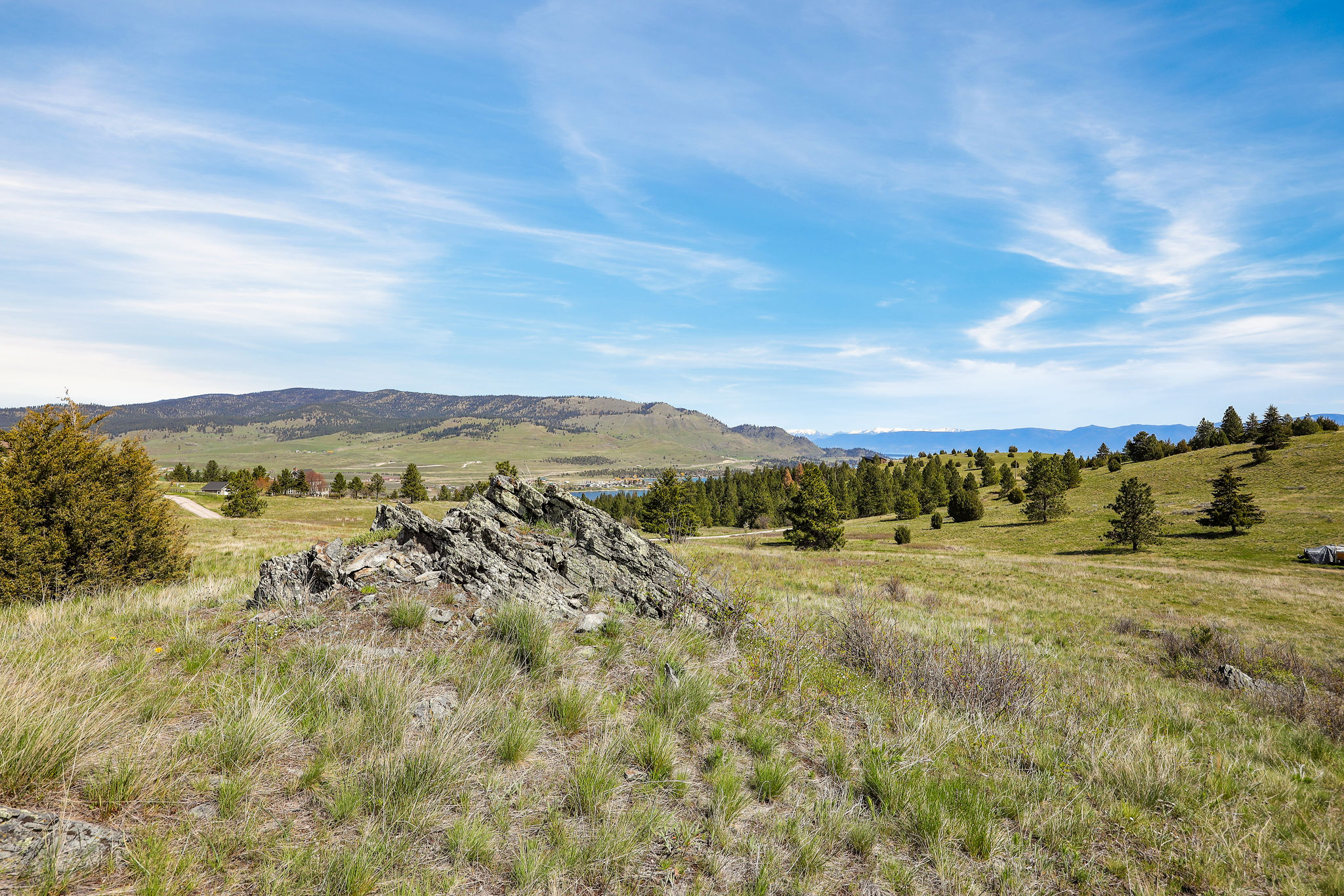 NHN Chief Cliff Lane