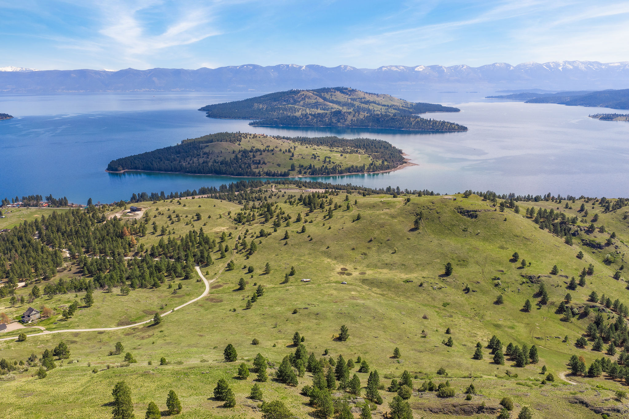 NHN Chief Cliff Lane