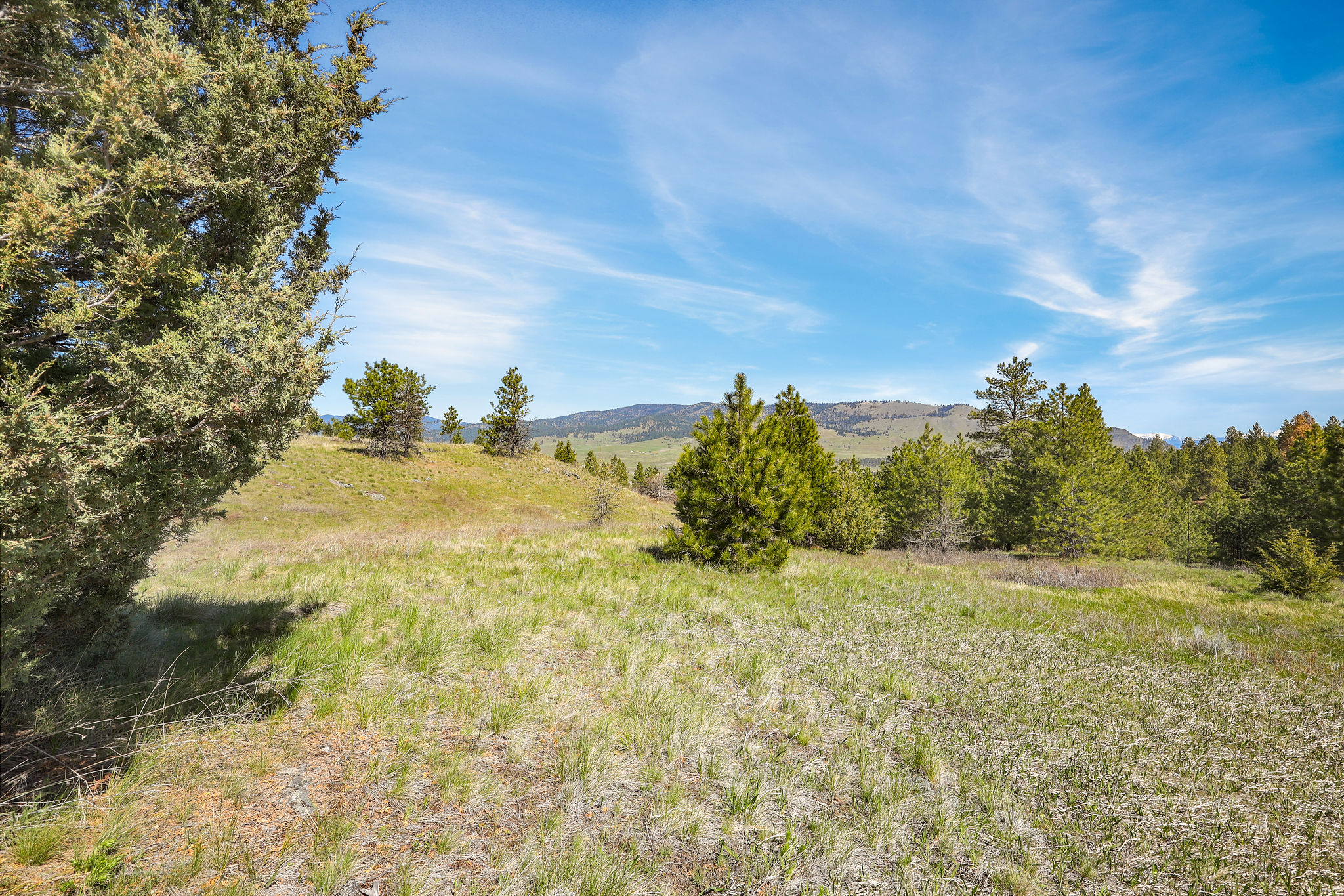 NHN Chief Cliff Lane