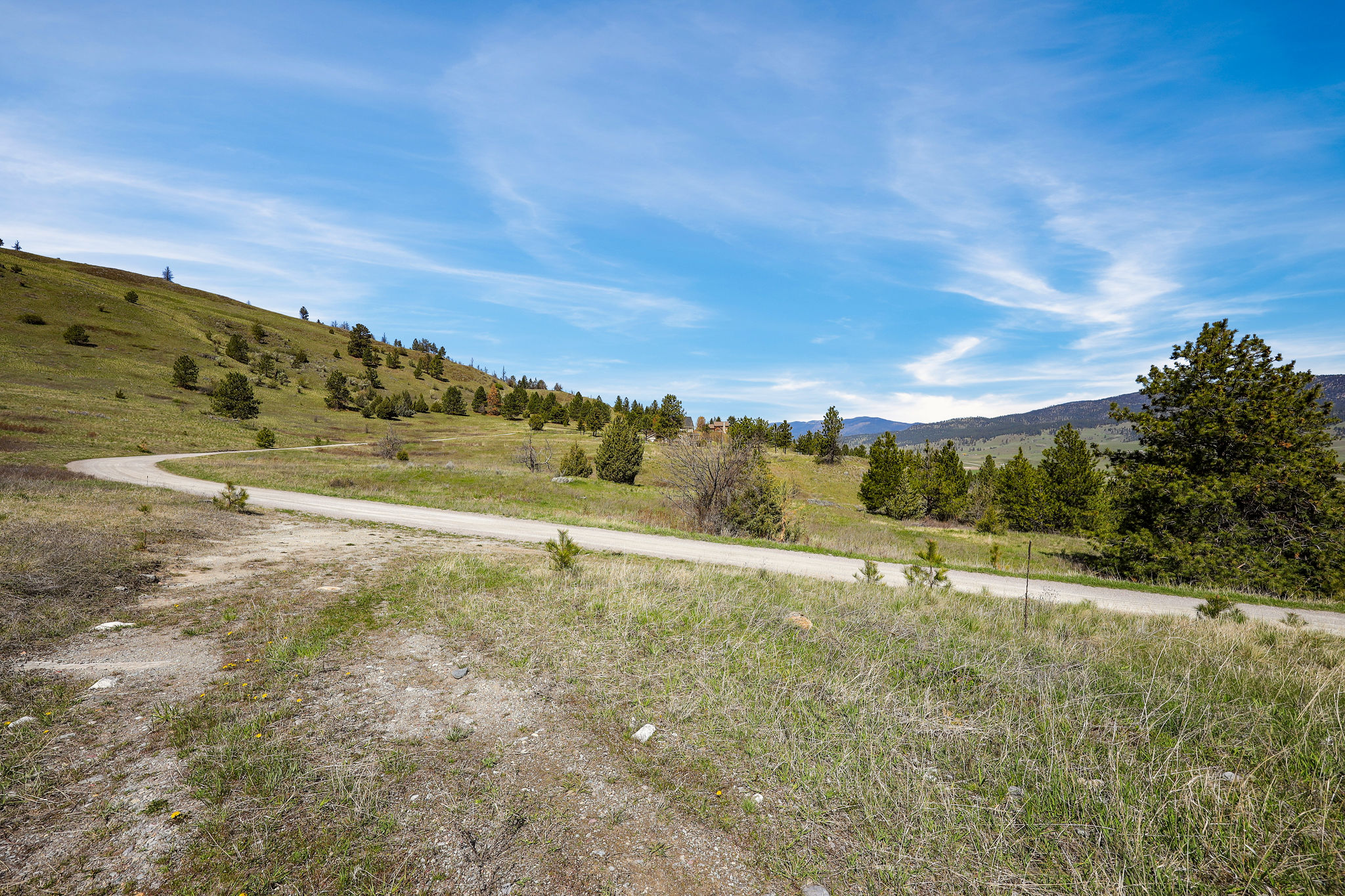 NHN Chief Cliff Lane