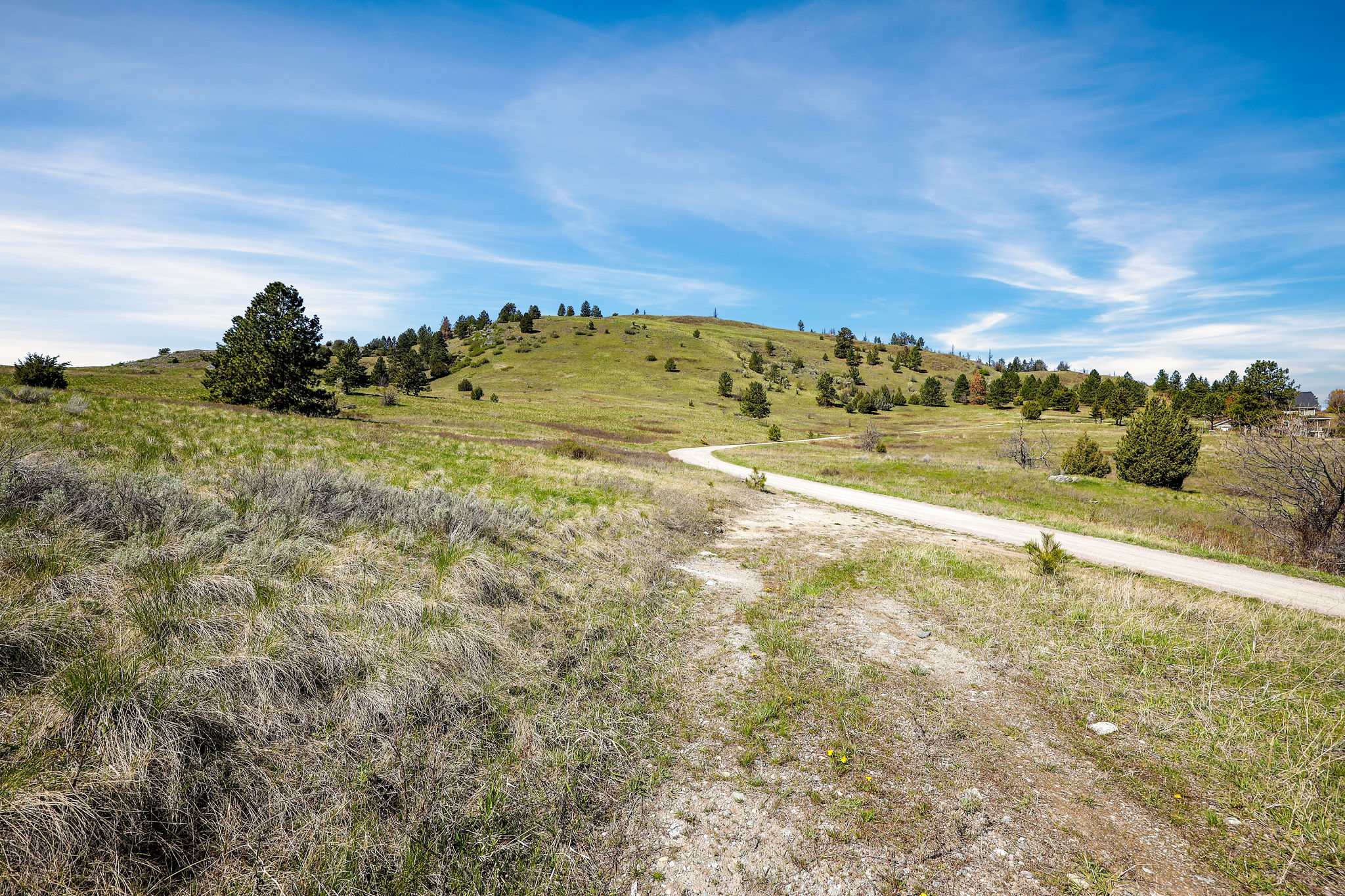 NHN Chief Cliff Lane